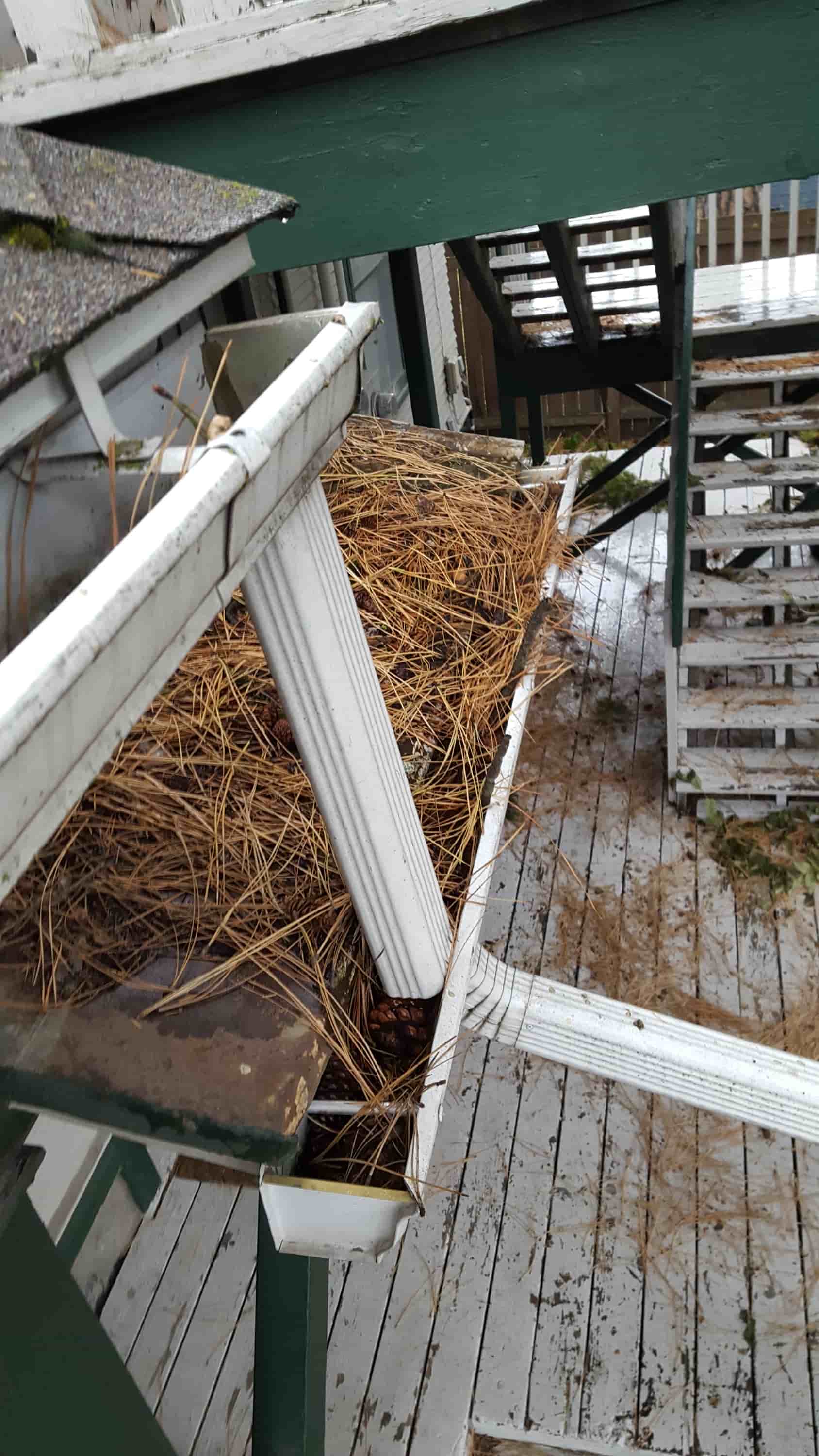 gutter hoses