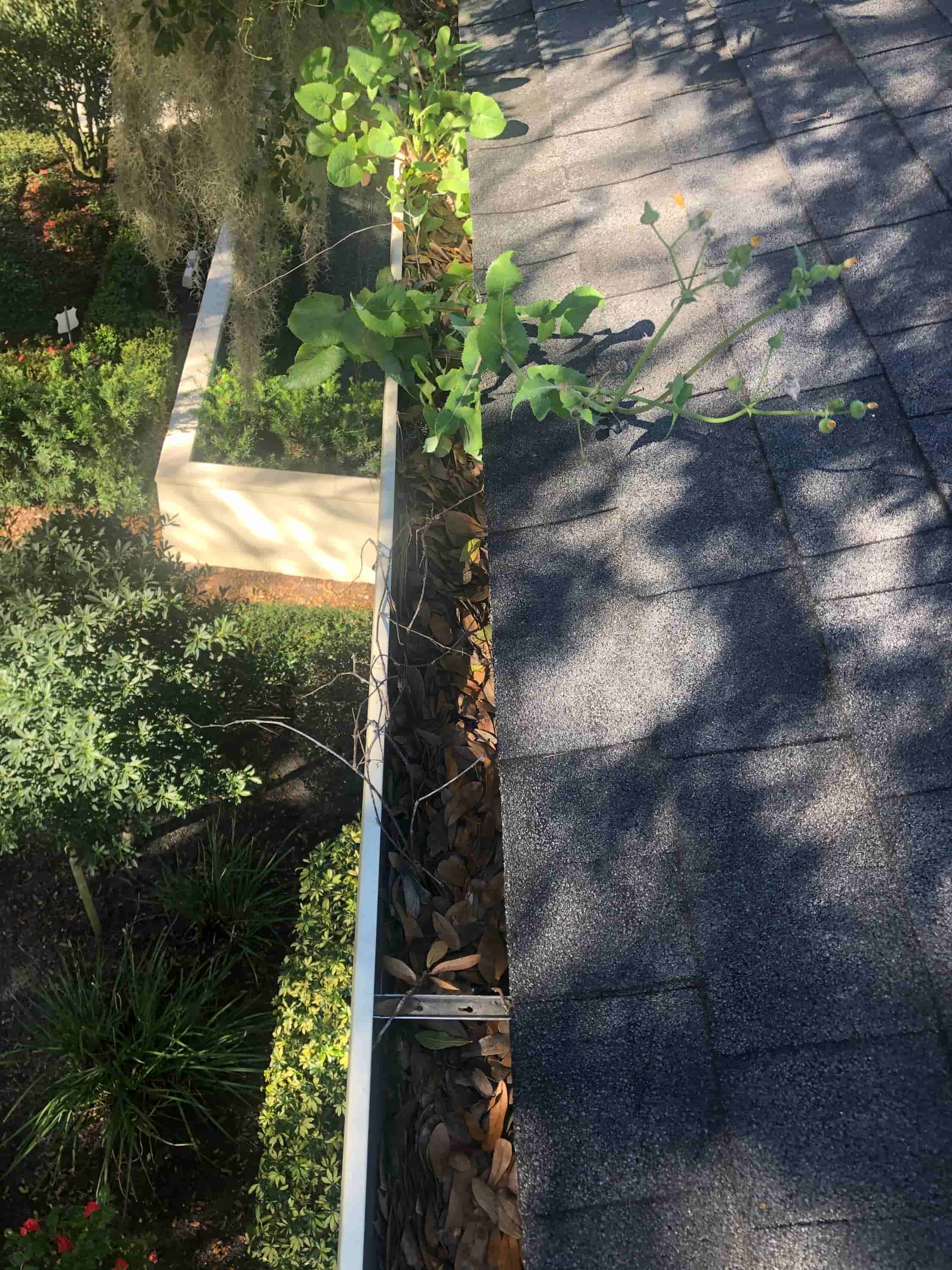how often should gutters be cleaned