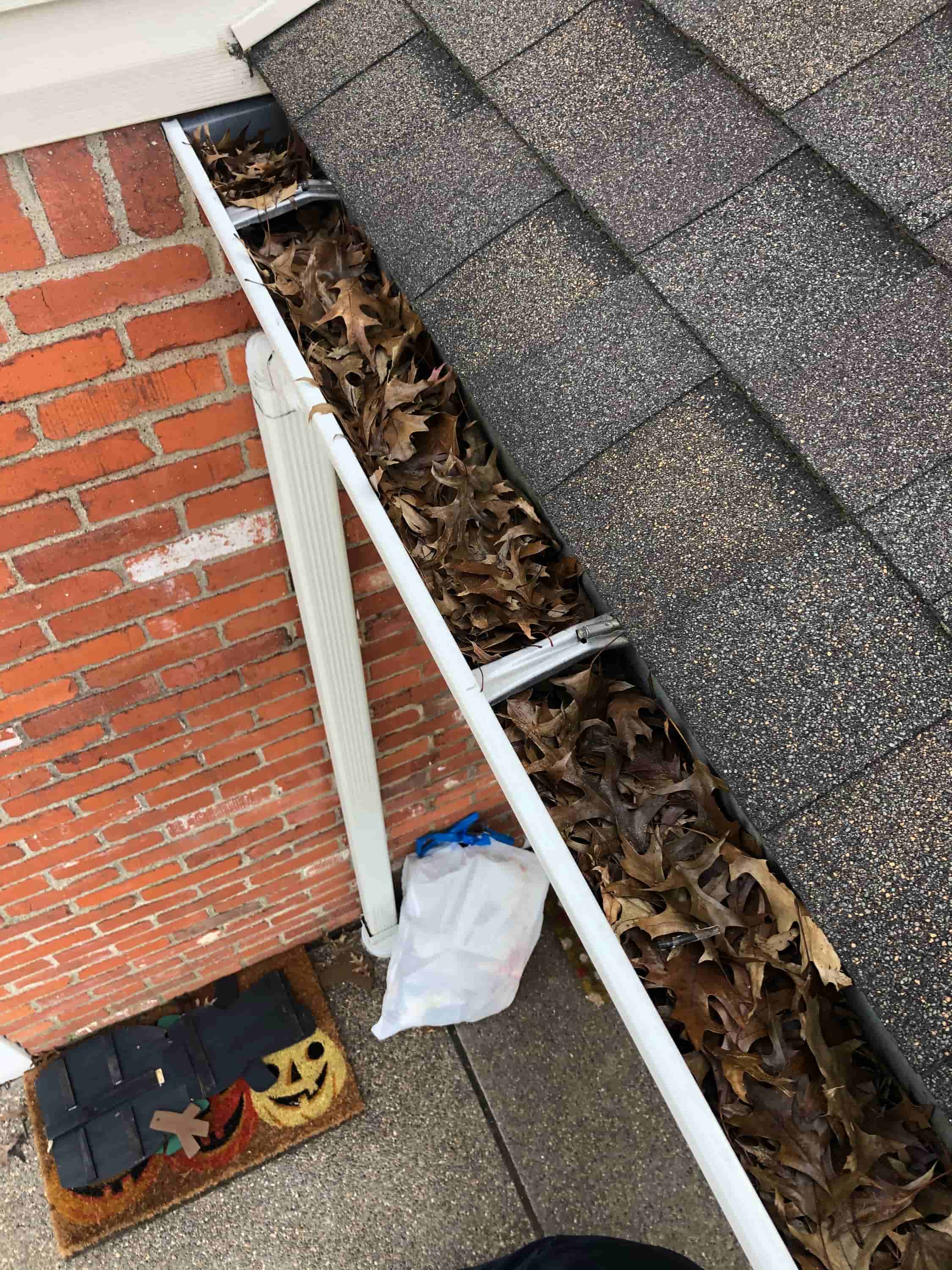 windows and gutter cleaning