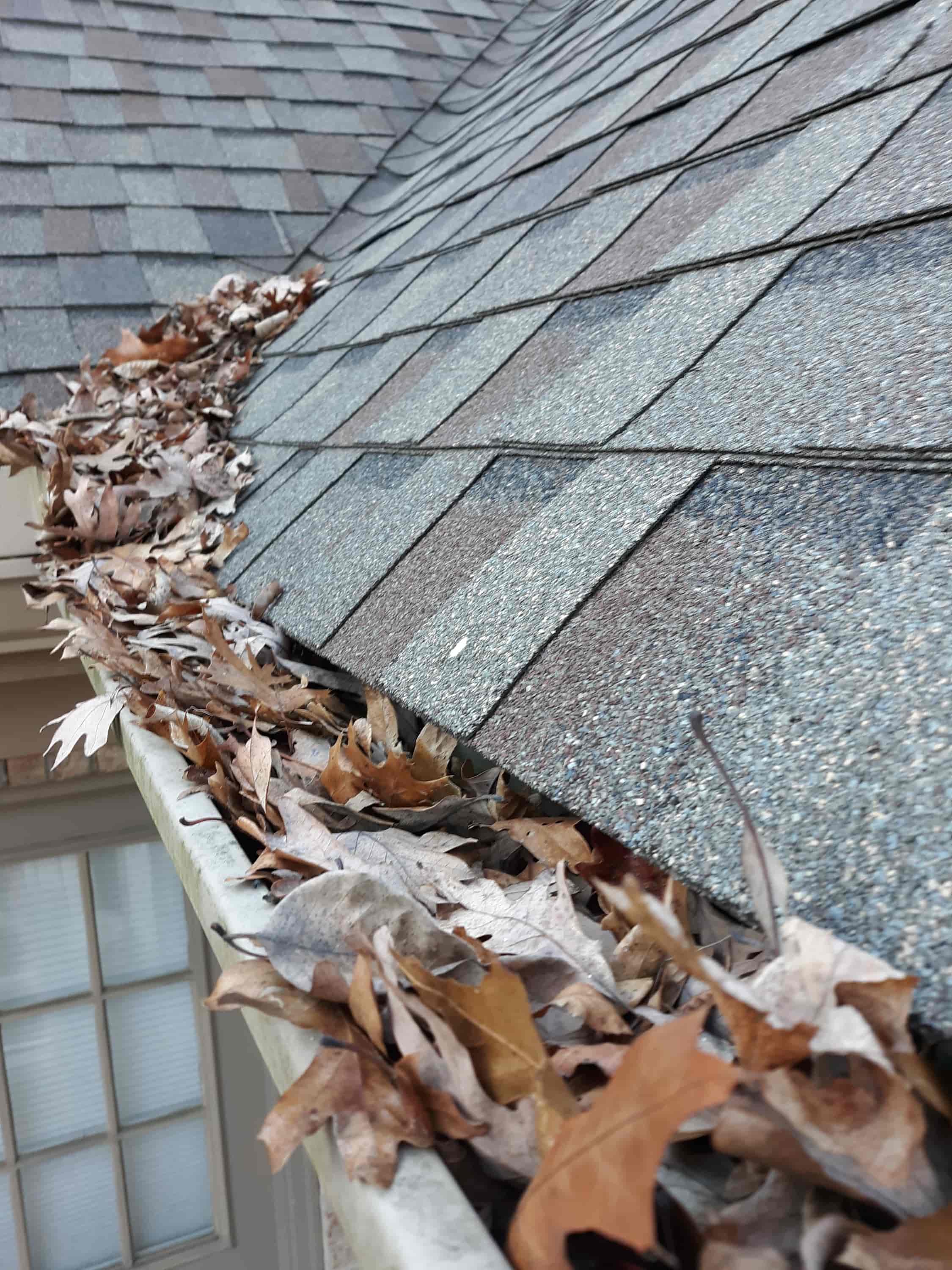 clean out gutters without ladder
