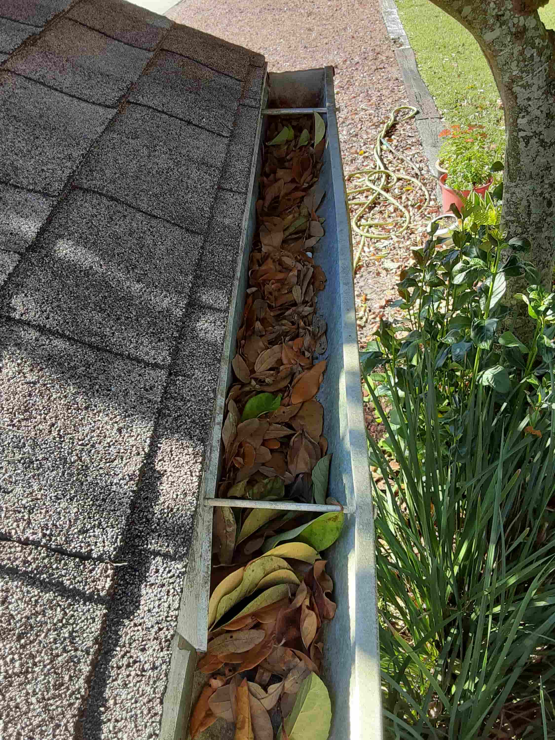 how to clean gutters and downpipes