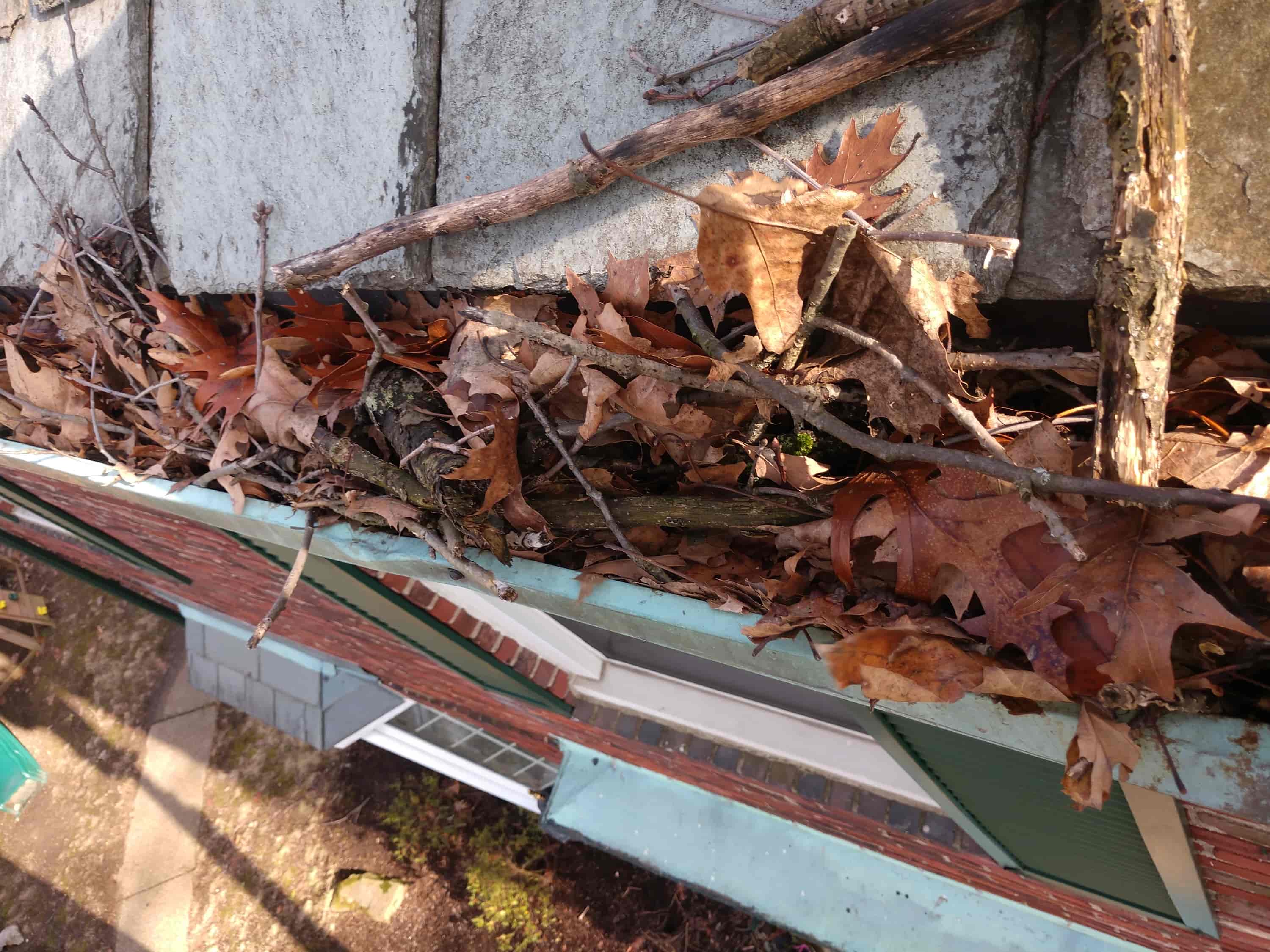 gutter cleaning service near me