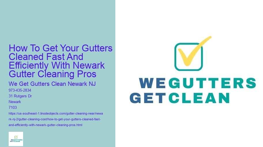 How To Get Your Gutters Cleaned Fast And Efficiently With Newark Gutter Cleaning Pros