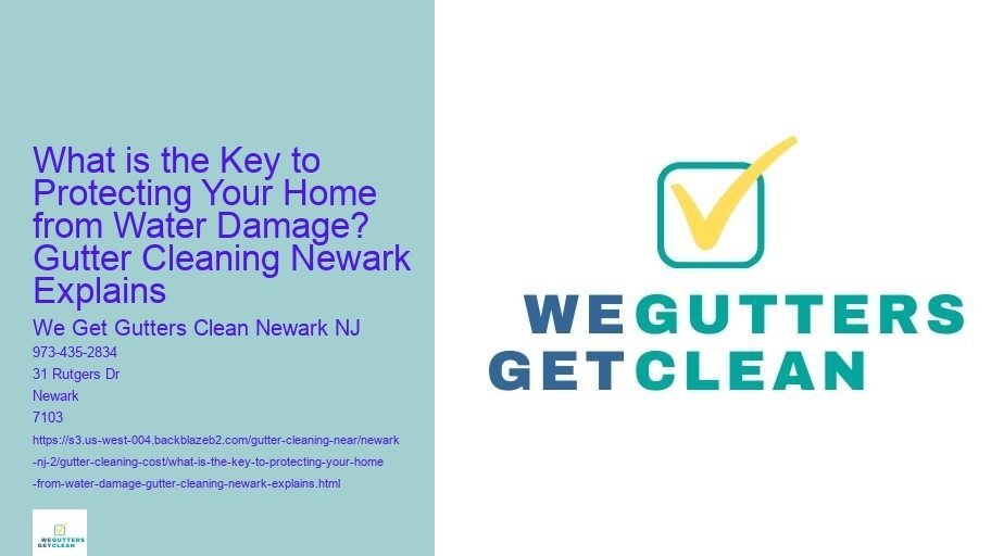 What is the Key to Protecting Your Home from Water Damage? Gutter Cleaning Newark Explains