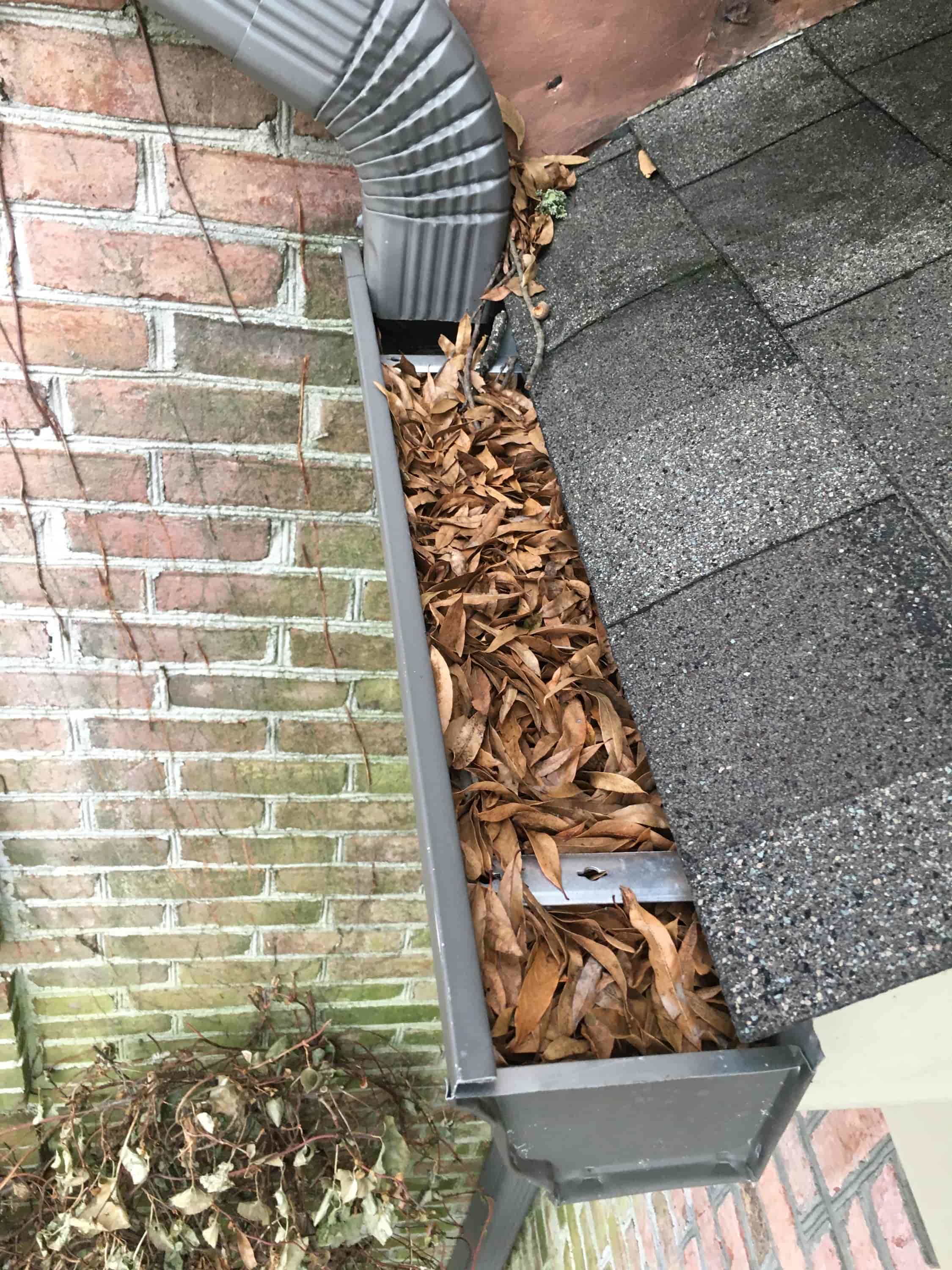 clean leaves out of gutter