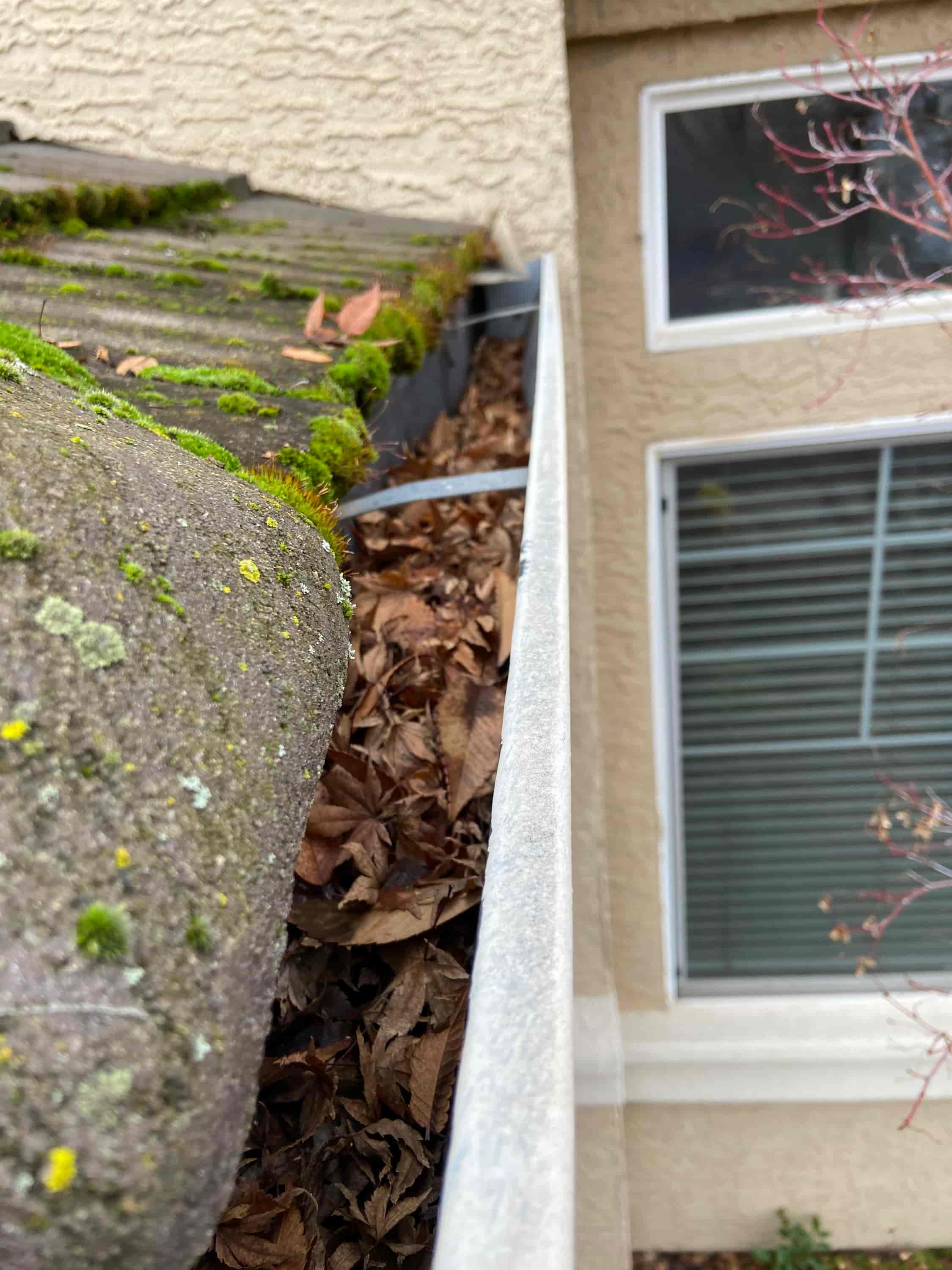 gutter cleaning companies near me