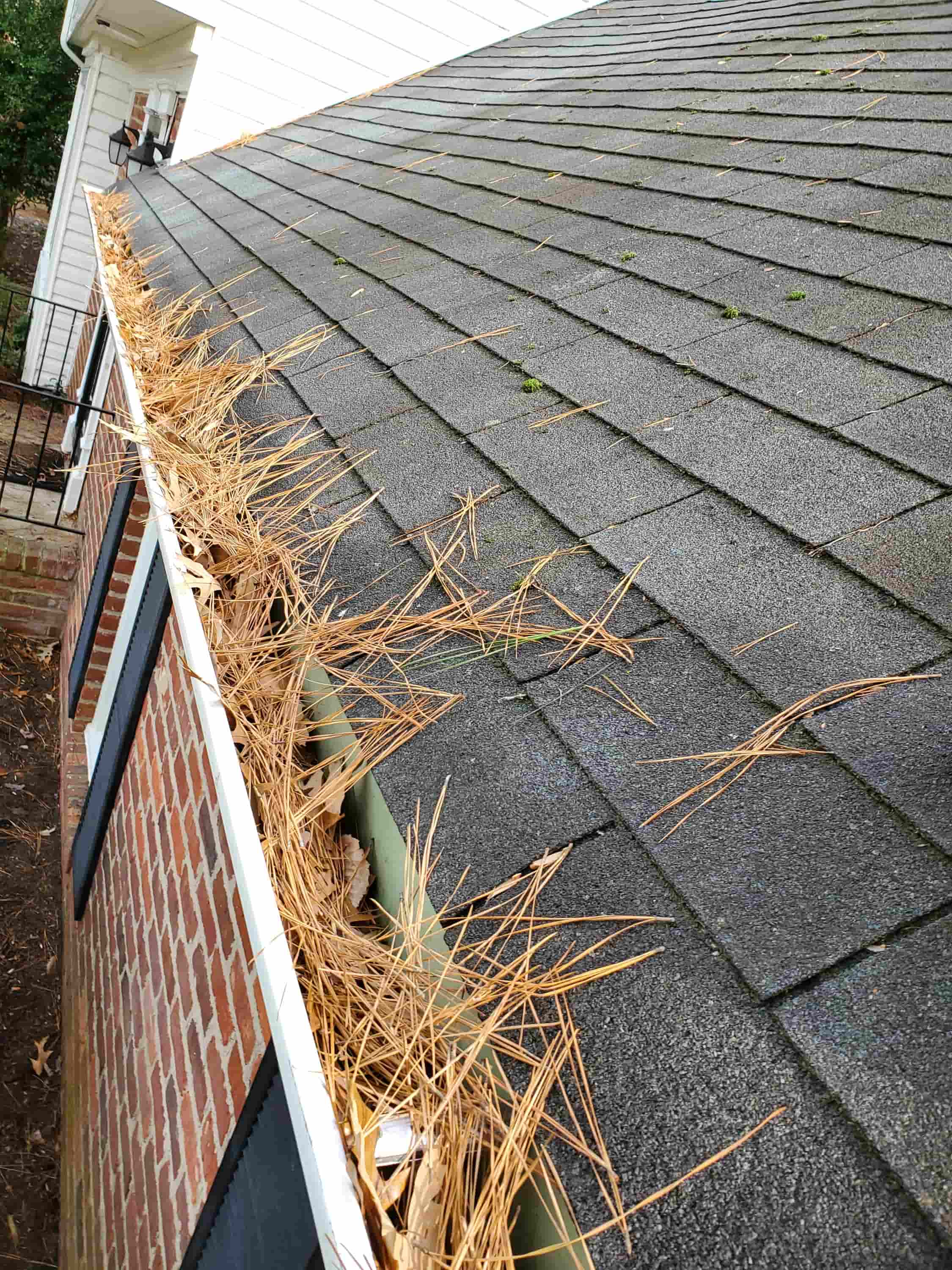 ladder gutter hook