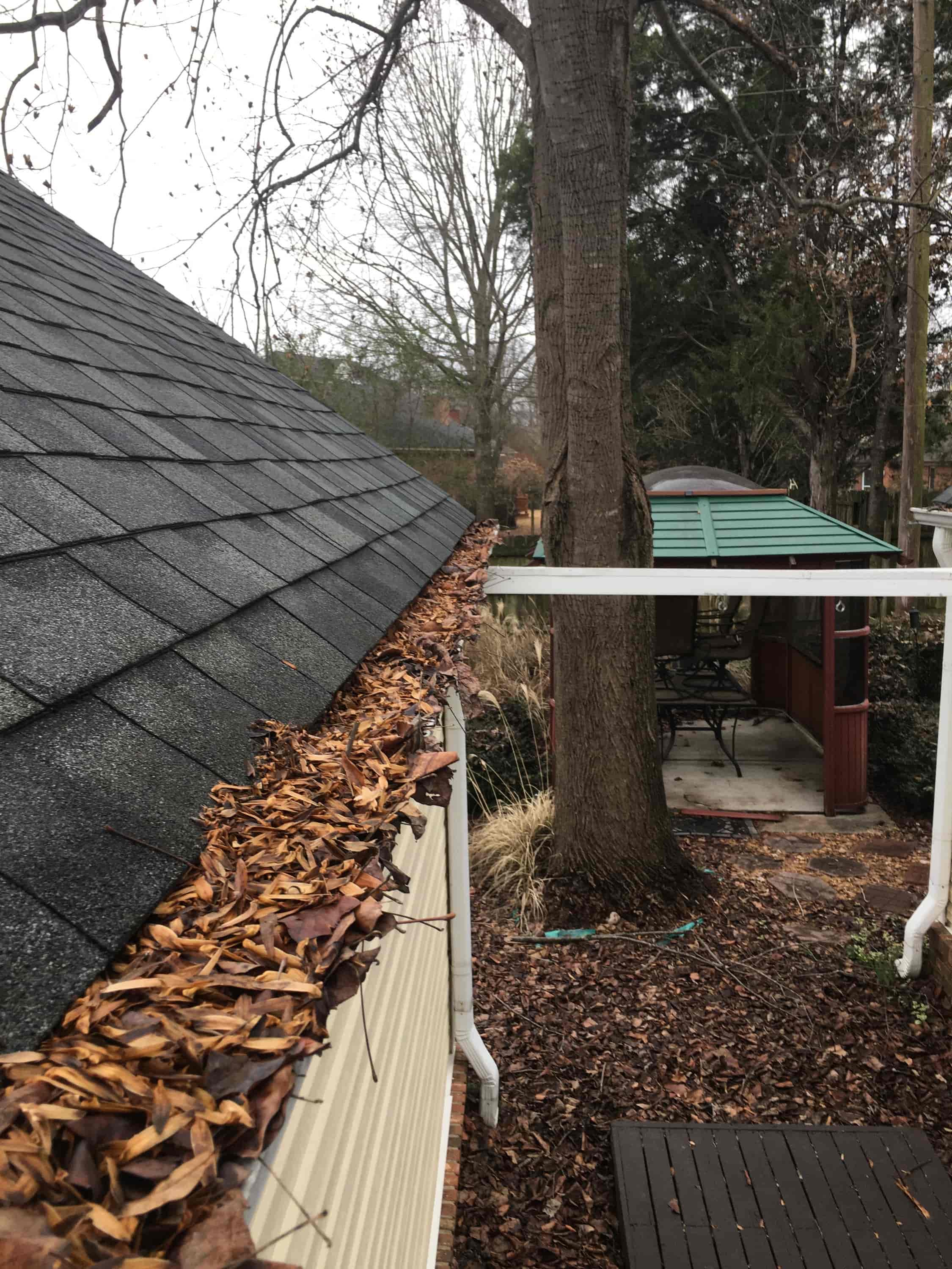 gutter cleaning snake