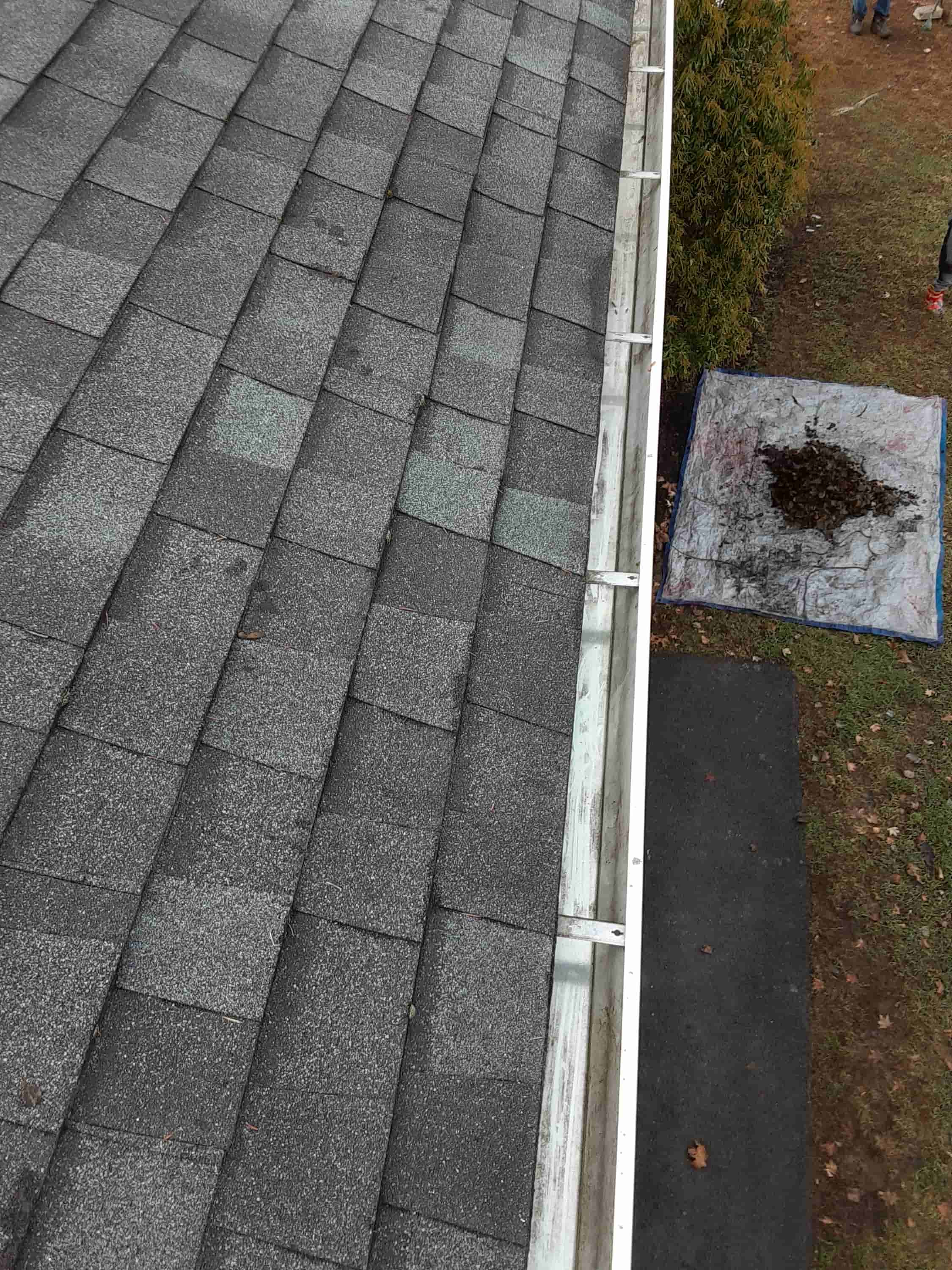 leaf vacuum hose near me
