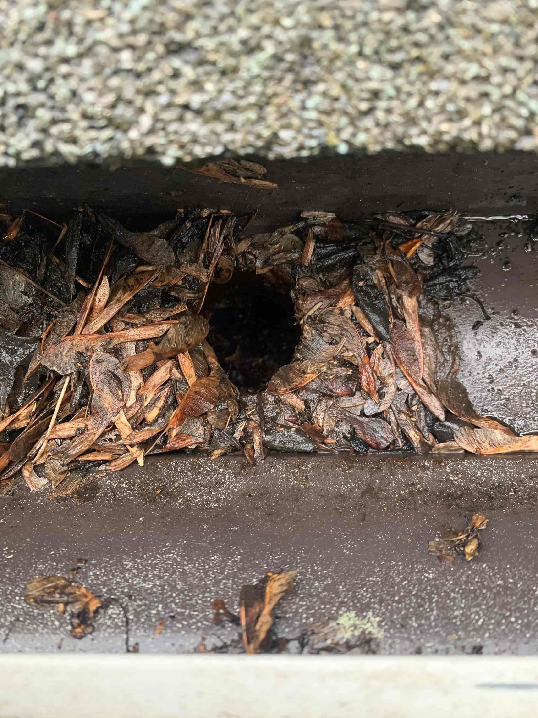 need a gutter cleaning service