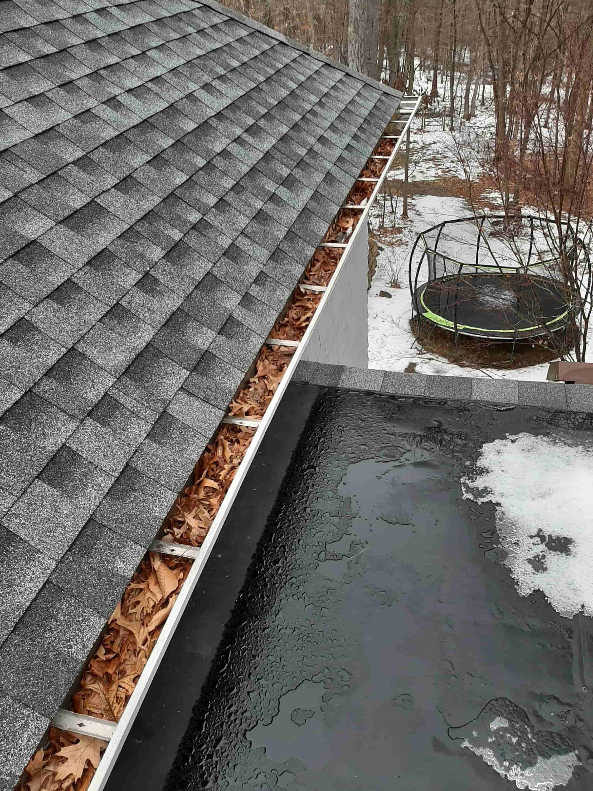 windows and gutter cleaning