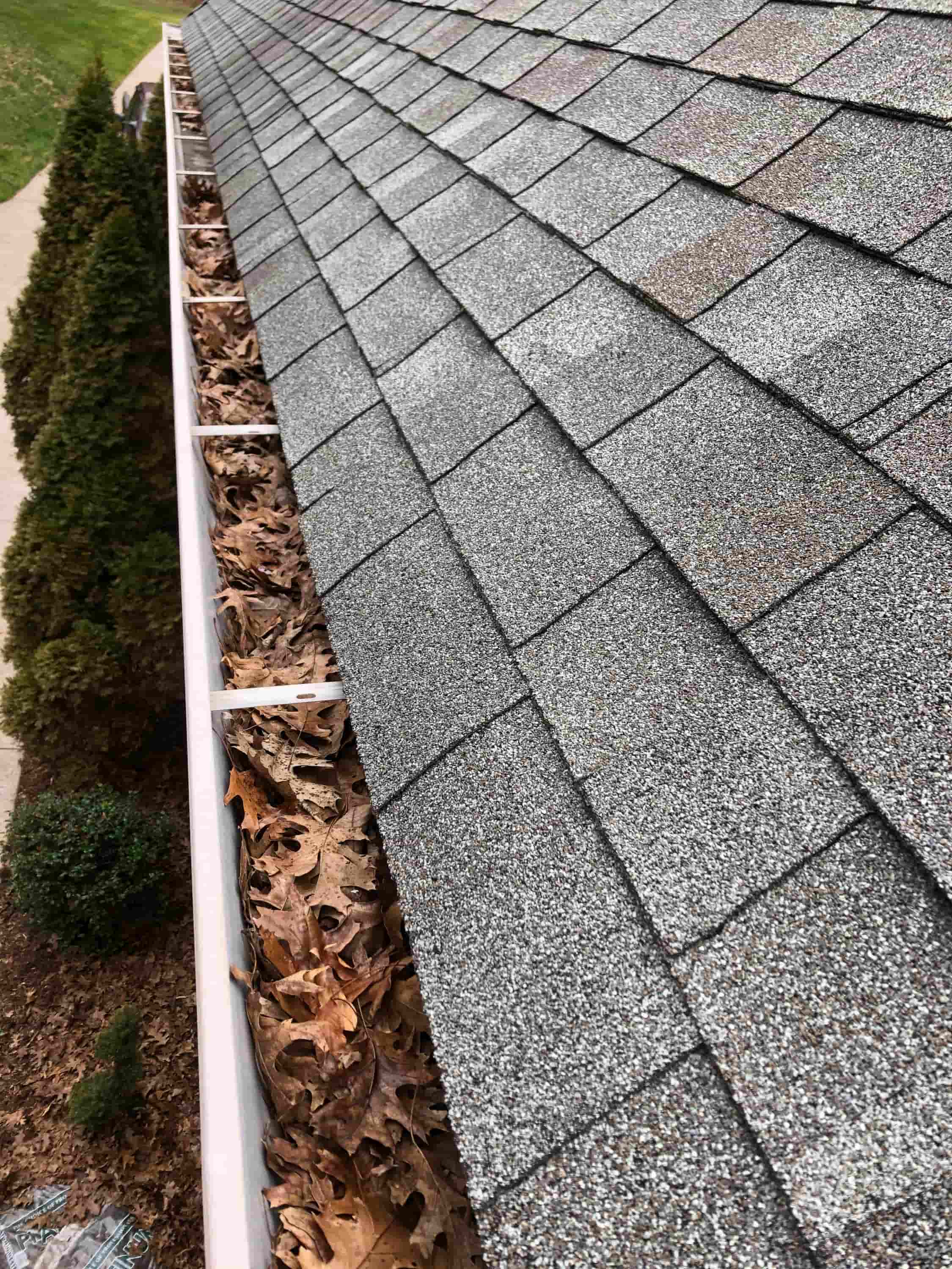 professional gutter cleaning services
