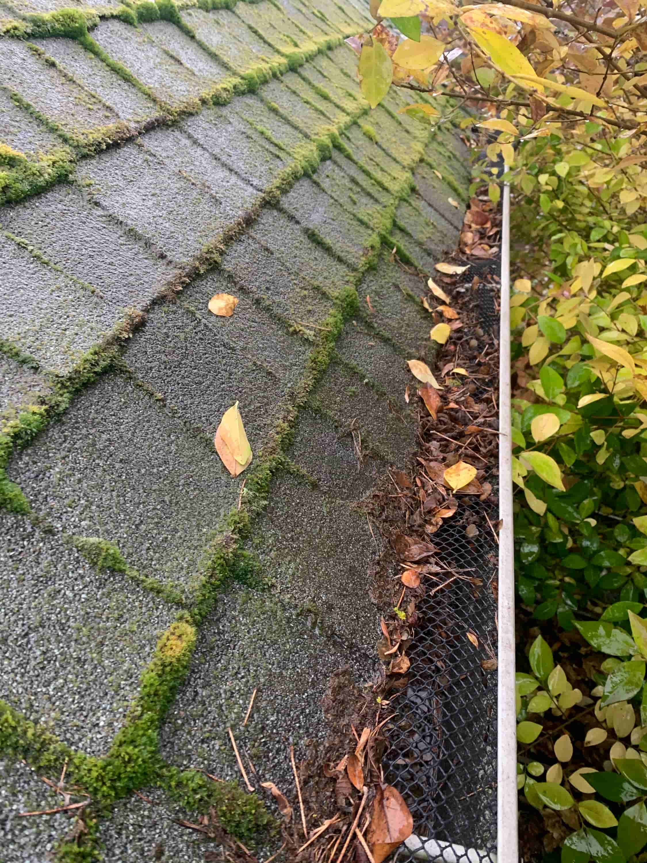 repair underground gutter drain