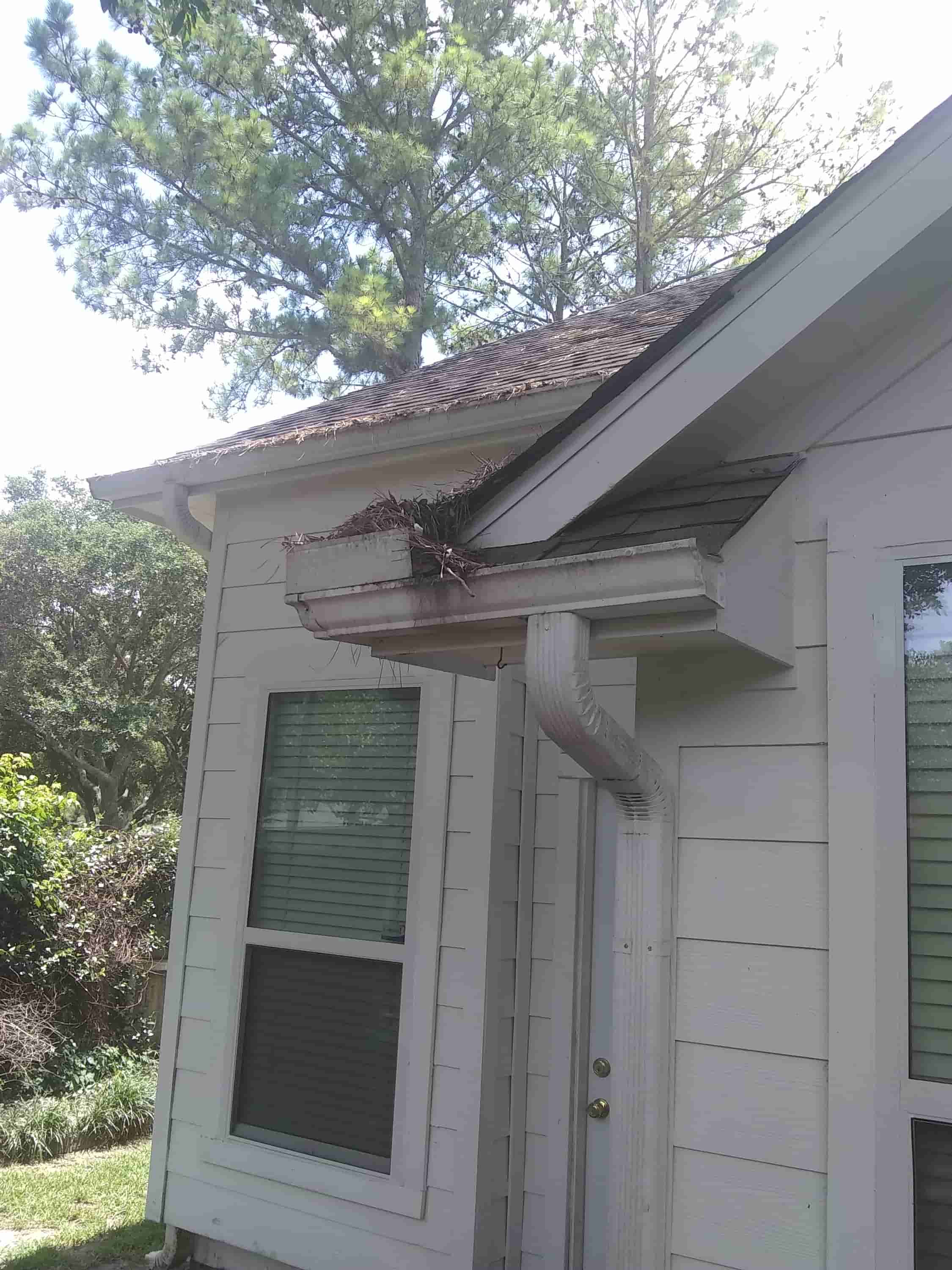 rain gutter cleaning service