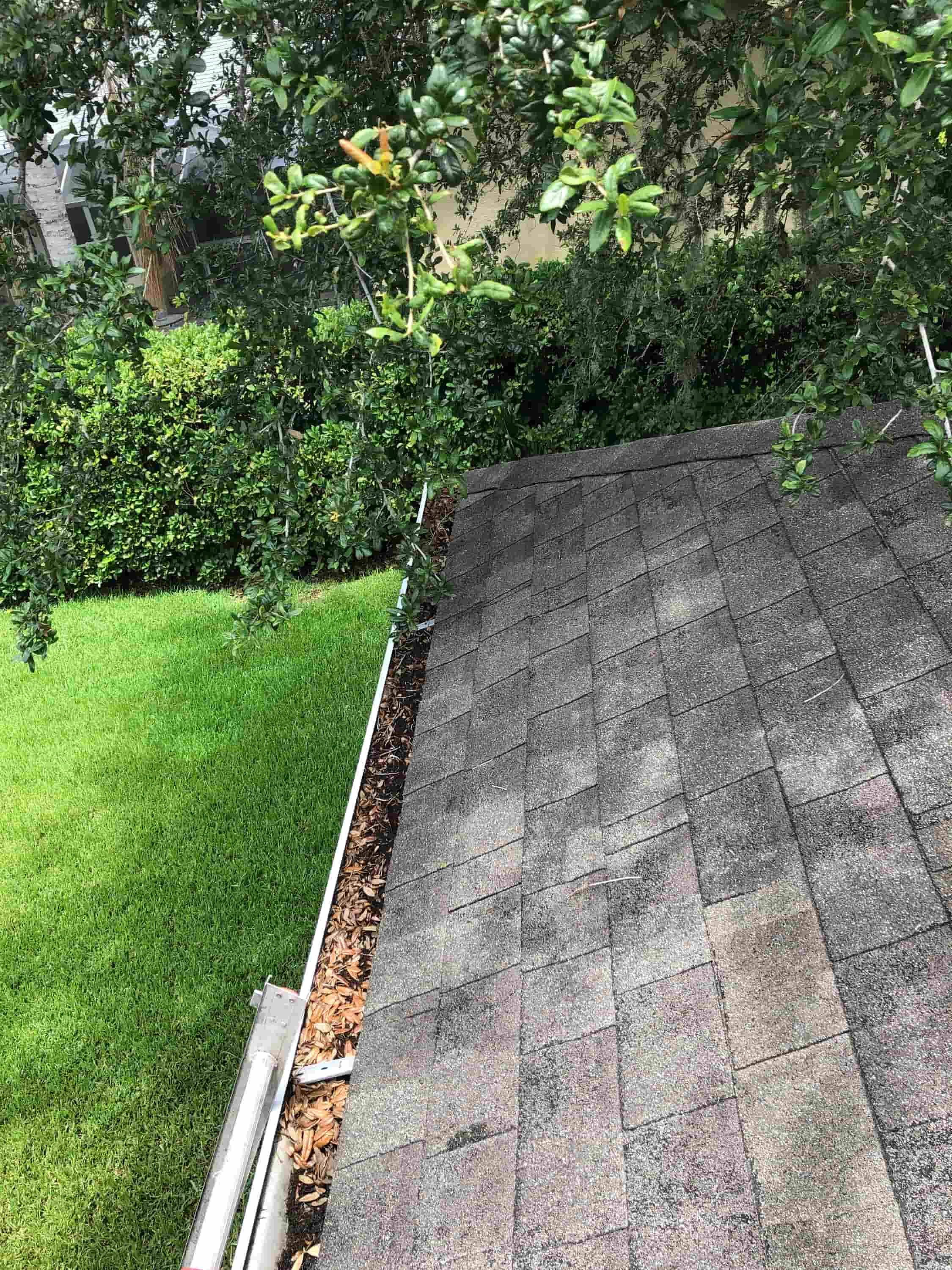 best way to clean fascia boards