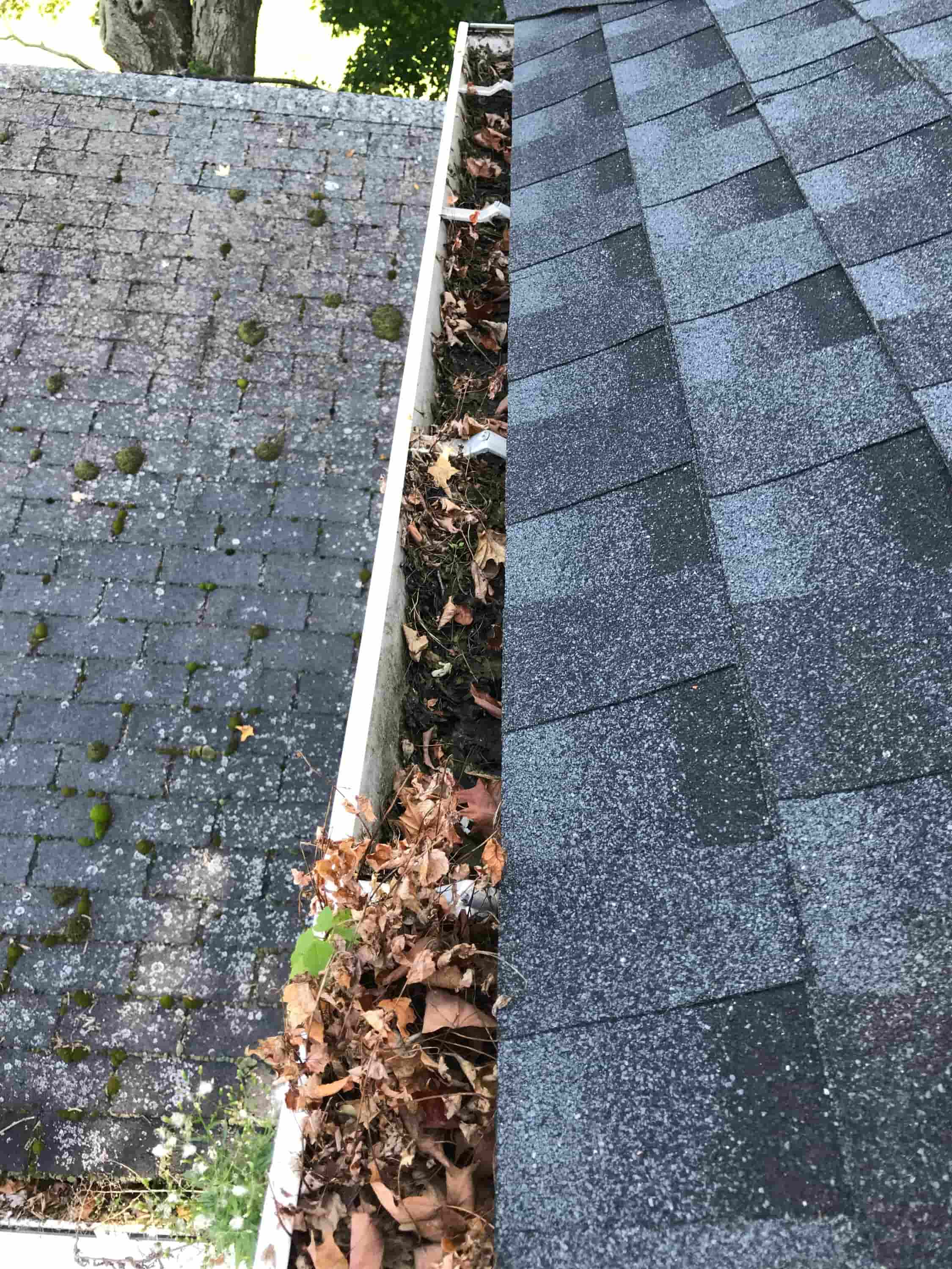 clean gutter without ladder