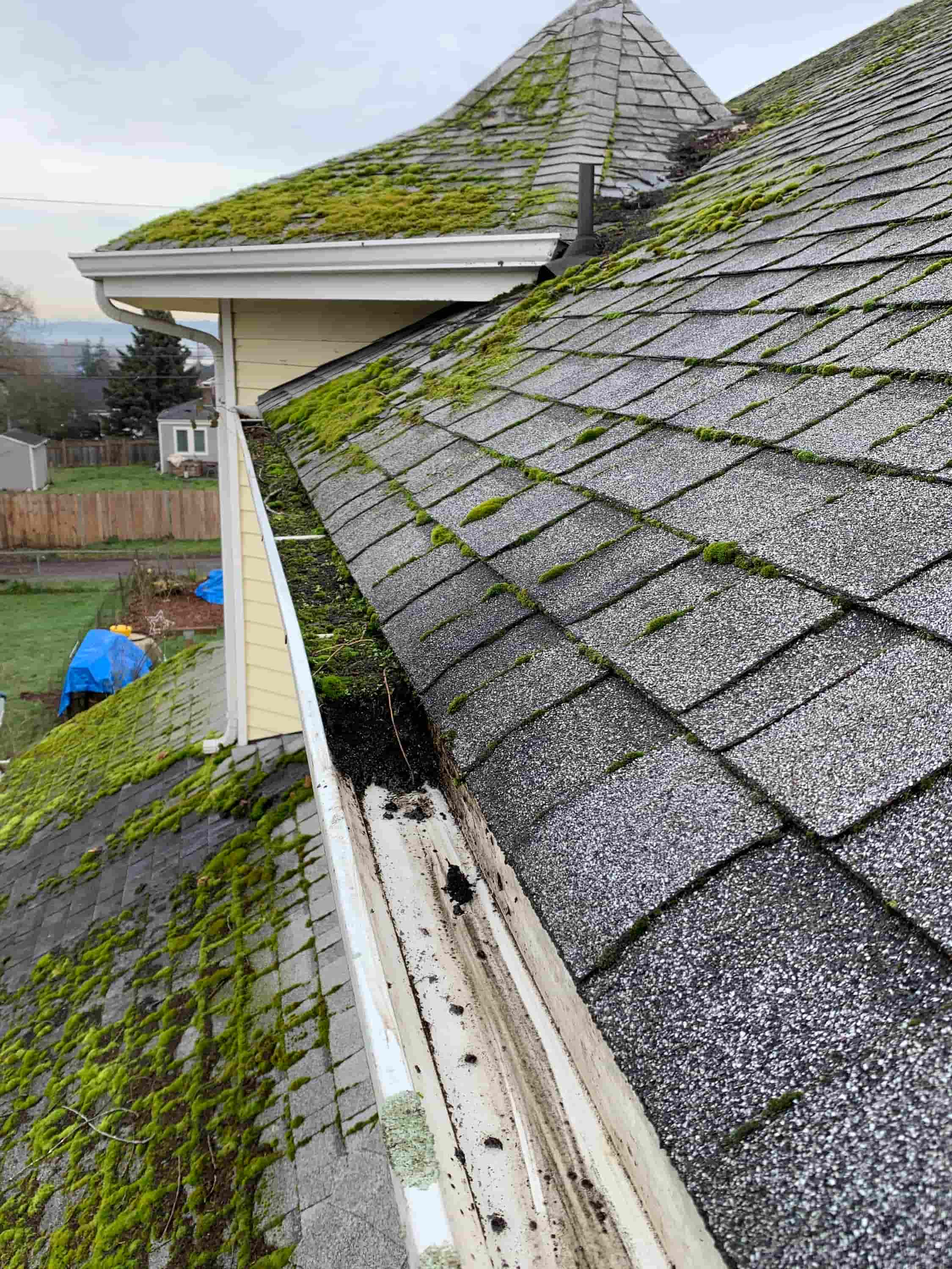 clean leaves off roof