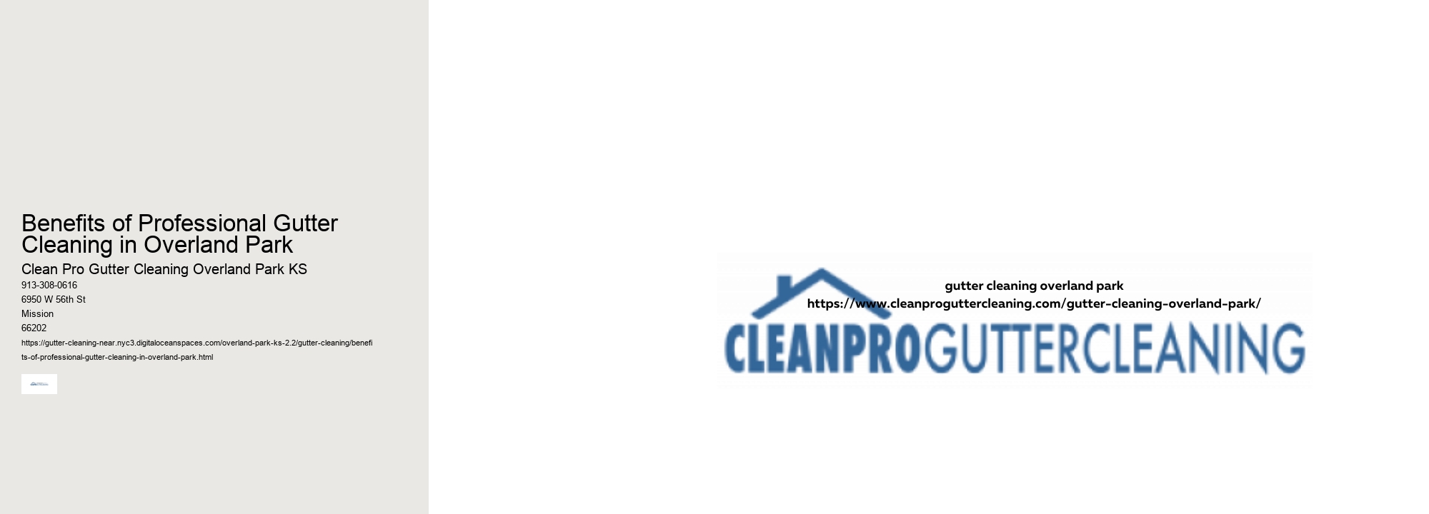 Benefits of Professional Gutter Cleaning in Overland Park 