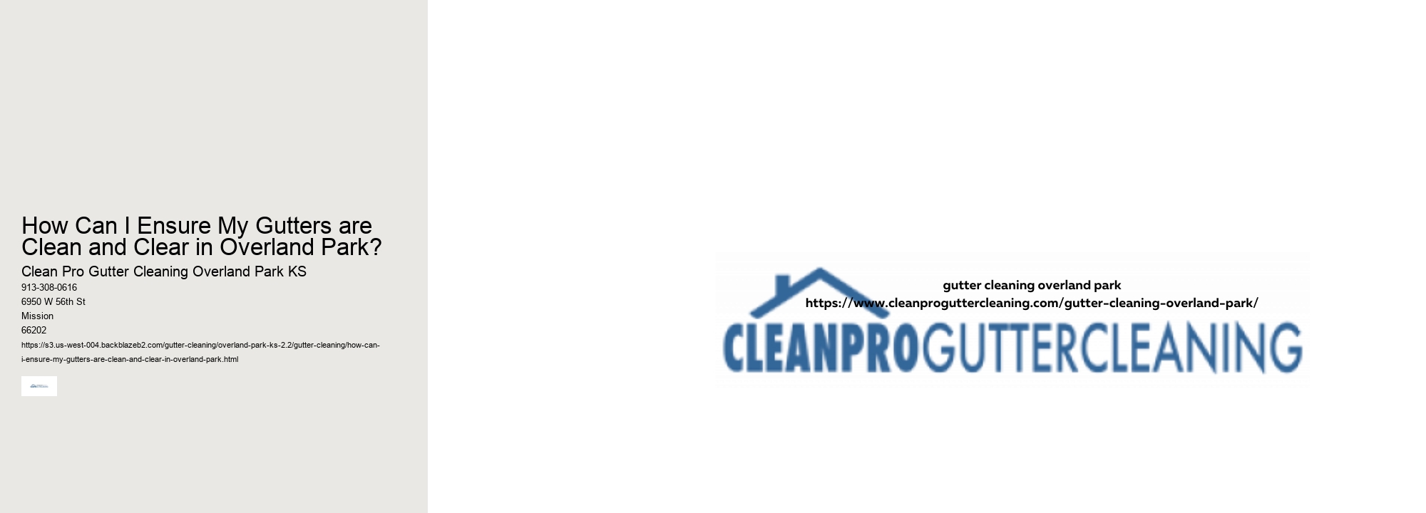 How Can I Ensure My Gutters are Clean and Clear in Overland Park? 