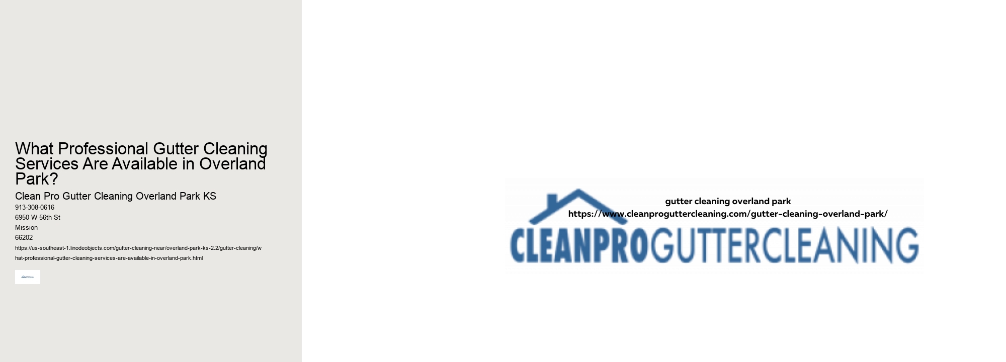 What Professional Gutter Cleaning Services Are Available in Overland Park? 