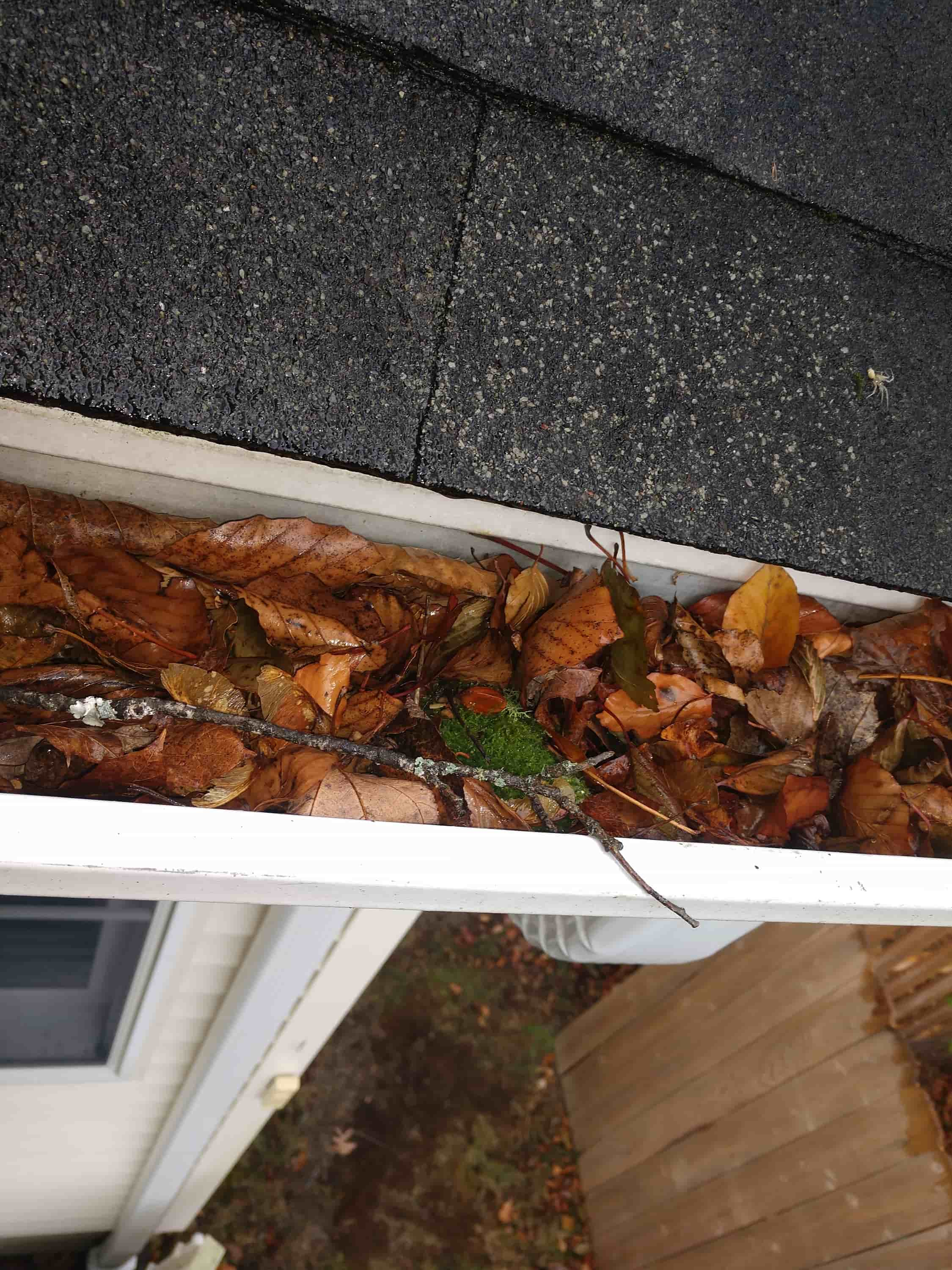 gutters cleaning service