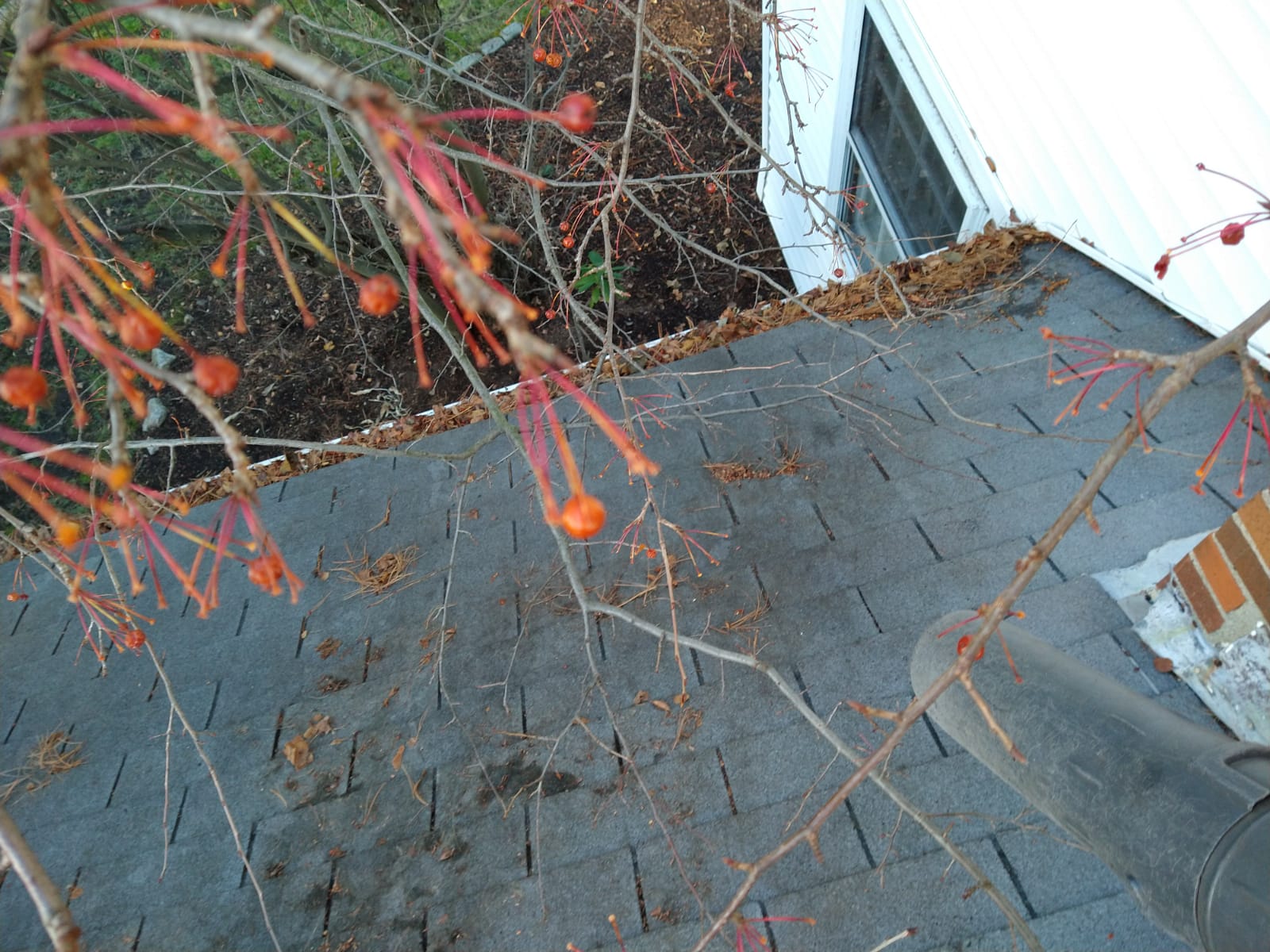 leaf blower gutter cleaning kit