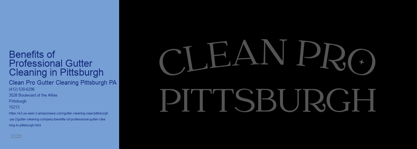 Benefits of Professional Gutter Cleaning in Pittsburgh 