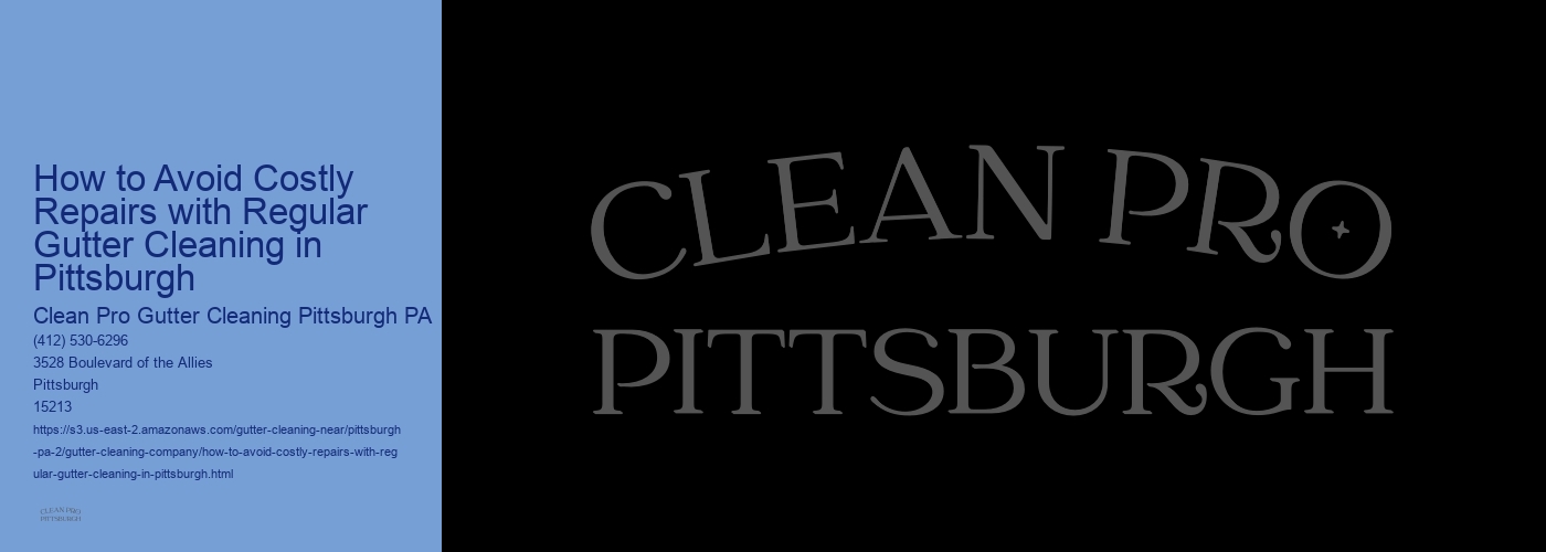 How to Avoid Costly Repairs with Regular Gutter Cleaning in Pittsburgh 