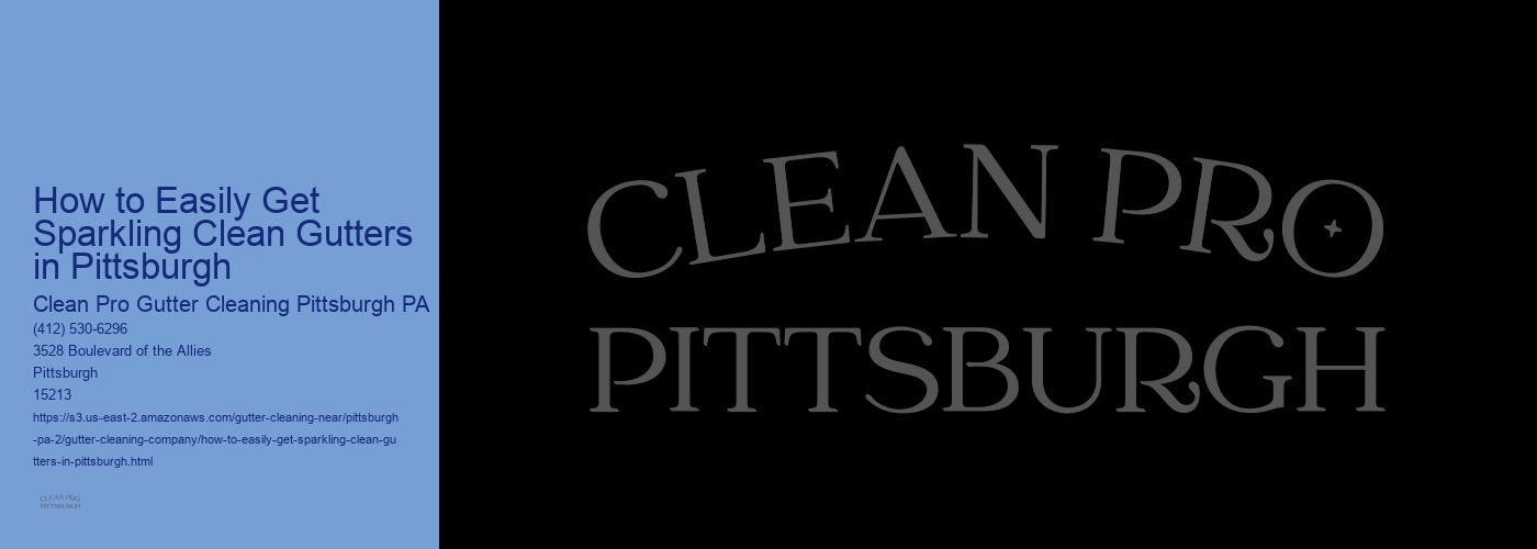 How to Easily Get Sparkling Clean Gutters in Pittsburgh 