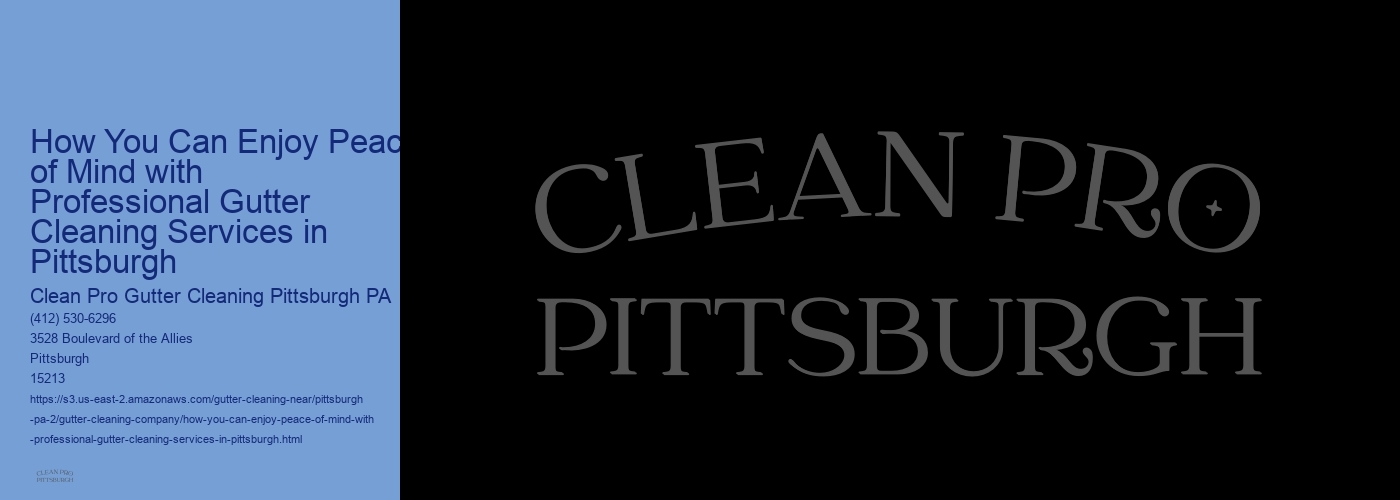 How You Can Enjoy Peace of Mind with Professional Gutter Cleaning Services in Pittsburgh