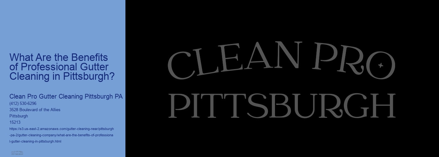 What Are the Benefits of Professional Gutter Cleaning in Pittsburgh? 
