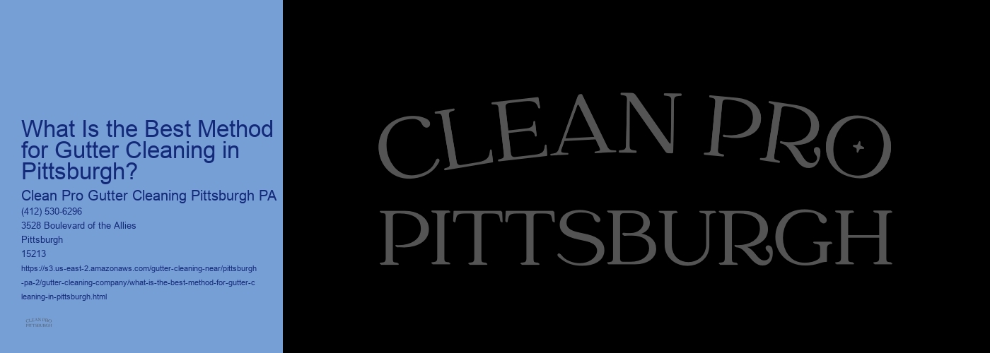 What Is the Best Method for Gutter Cleaning in Pittsburgh? 