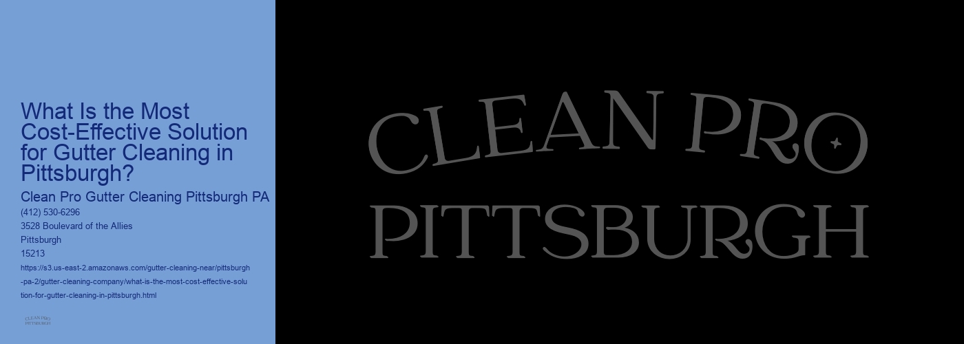 What Is the Most Cost-Effective Solution for Gutter Cleaning in Pittsburgh? 