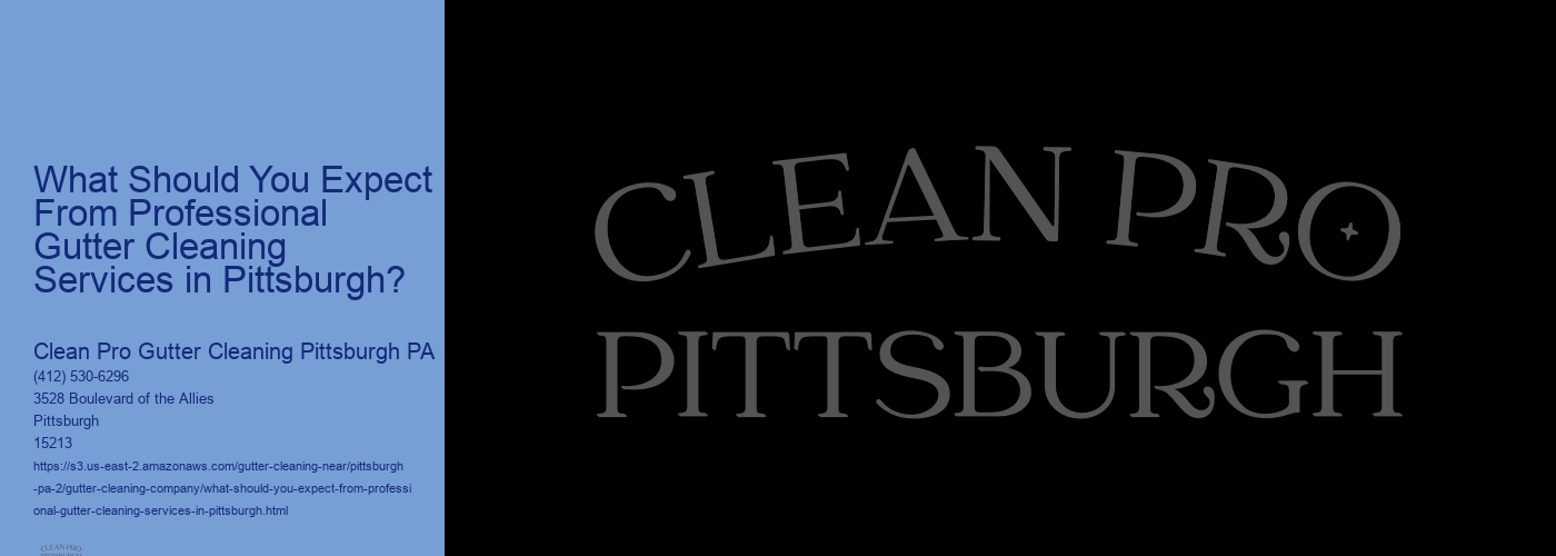 What Should You Expect From Professional Gutter Cleaning Services in Pittsburgh? 