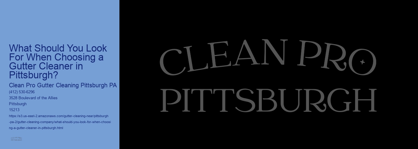 What Should You Look For When Choosing a Gutter Cleaner in Pittsburgh? 