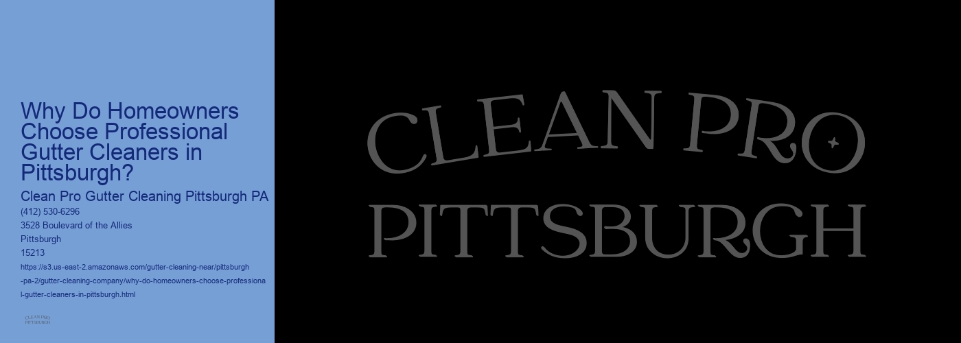 Why Do Homeowners Choose Professional Gutter Cleaners in Pittsburgh?