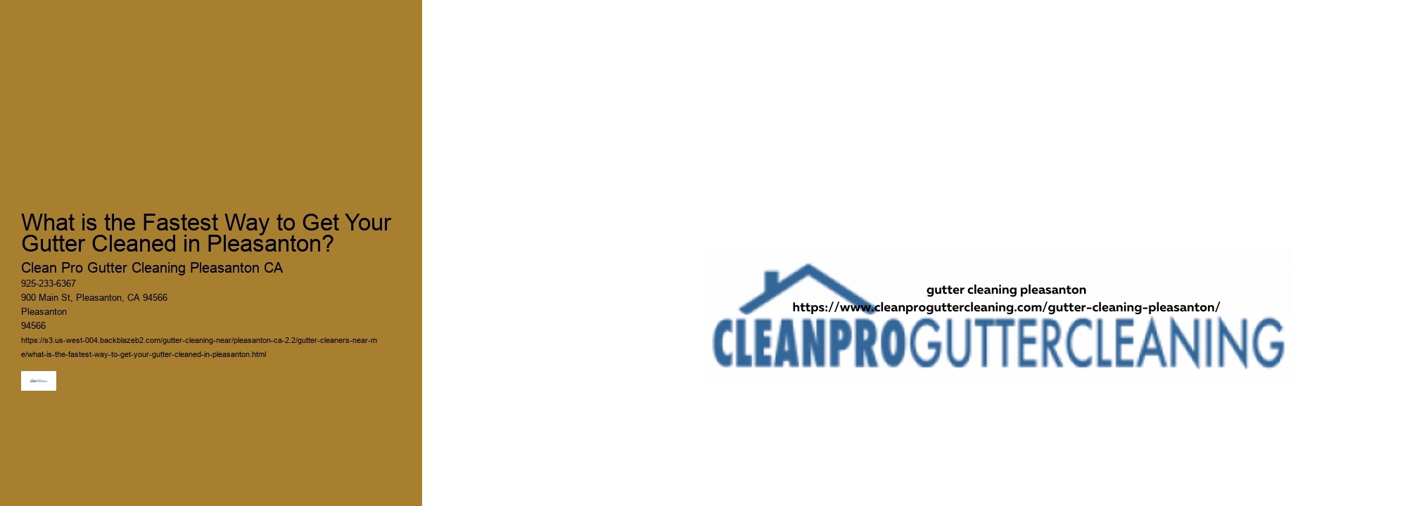 What is the Fastest Way to Get Your Gutter Cleaned in Pleasanton? 