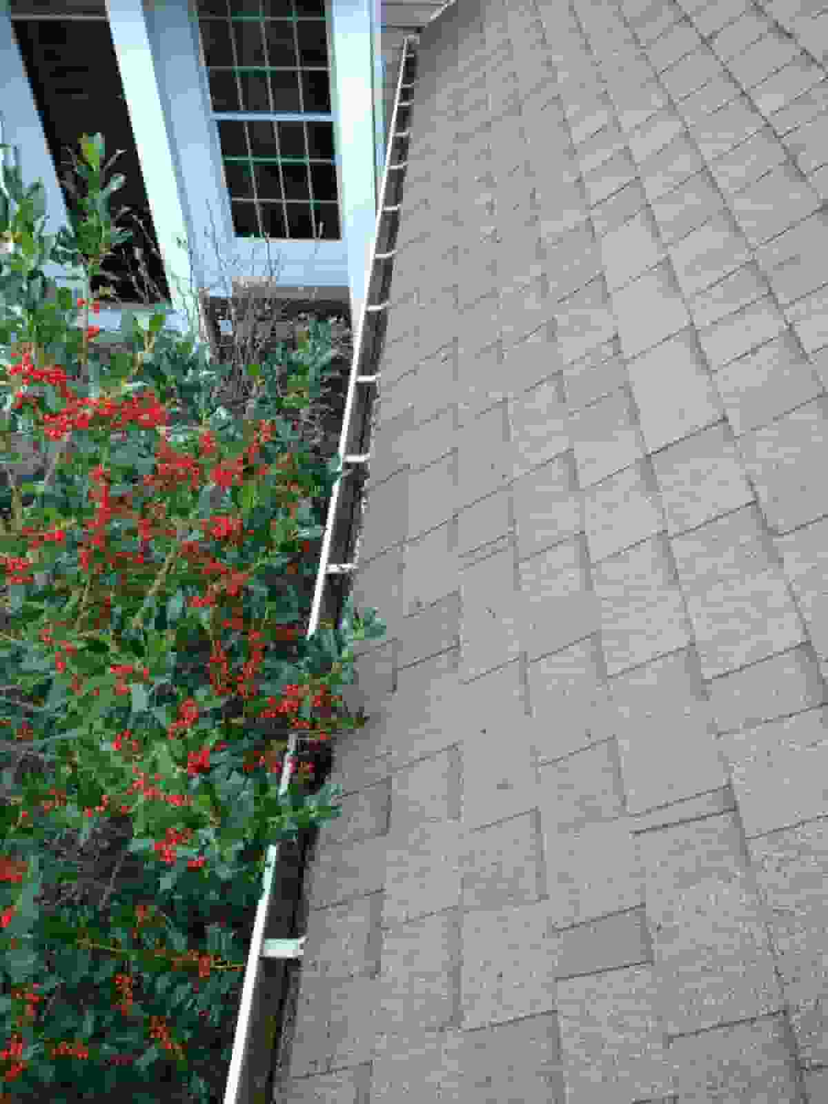 gutter clean up service