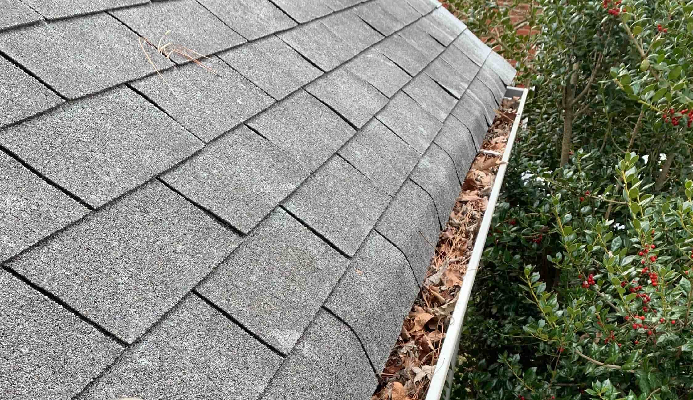 roof gutter cleaner