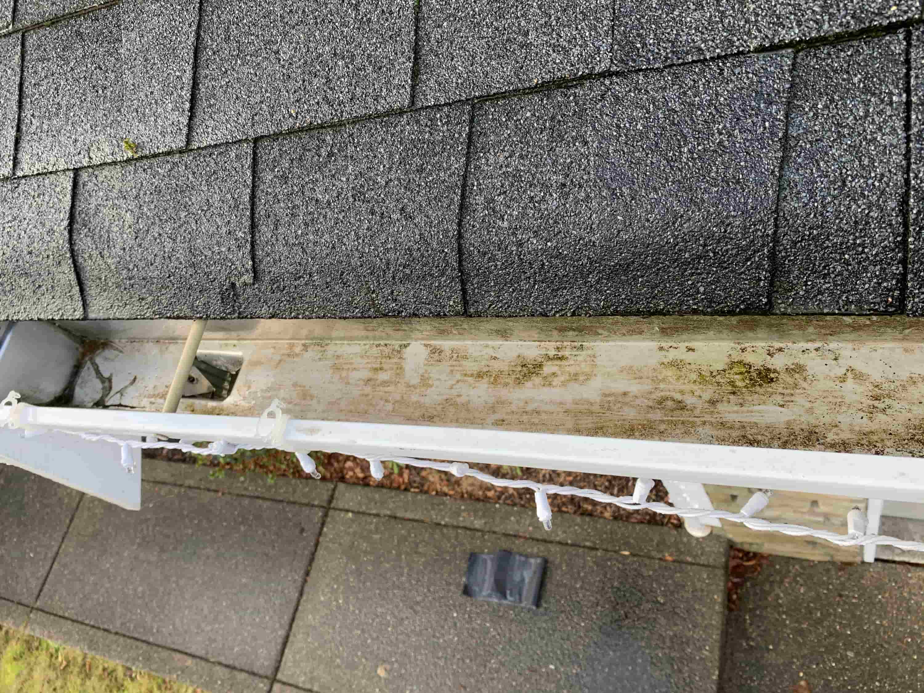 gutter cleaning tools from the ground
