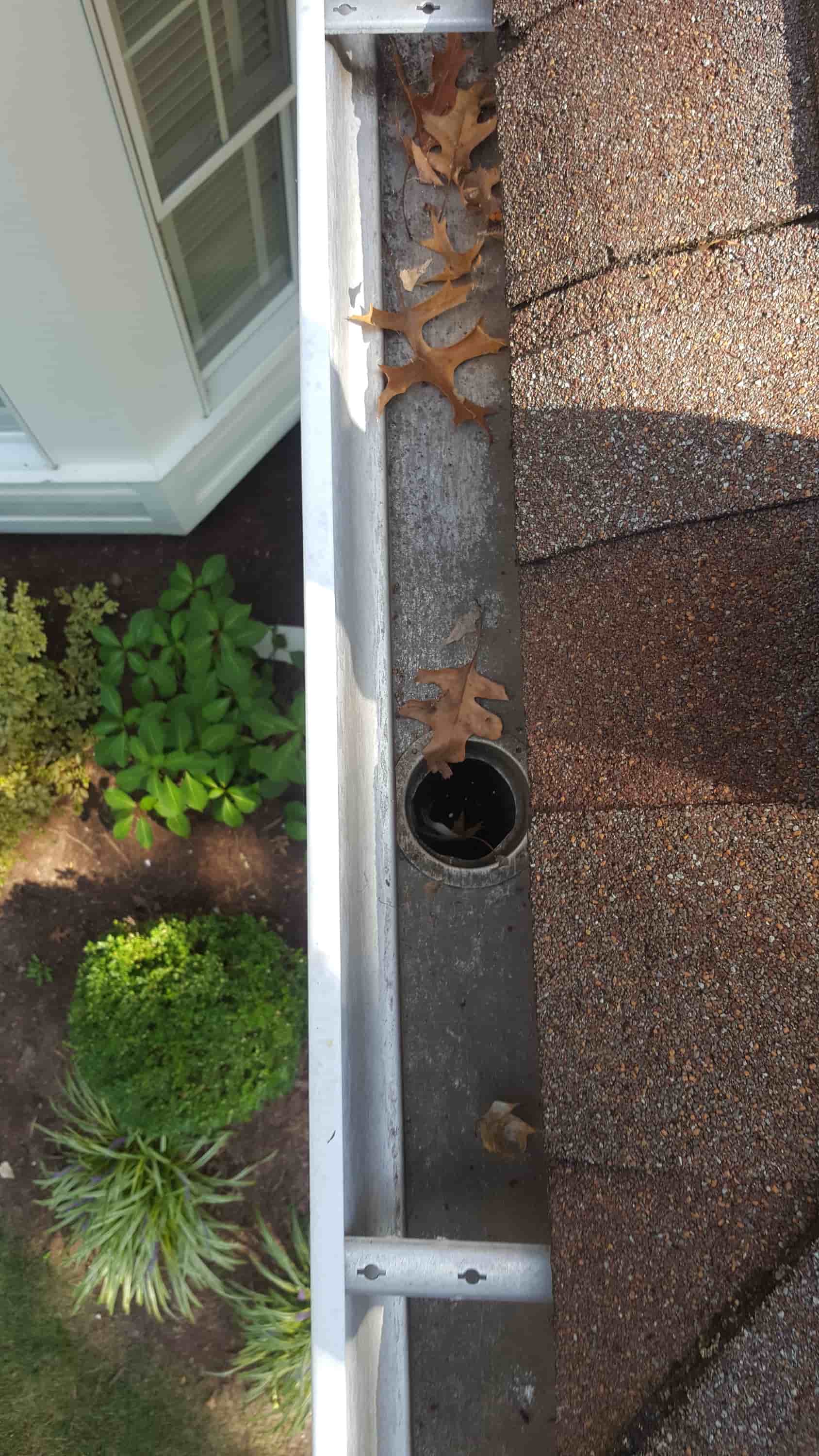blowing leaves off roof