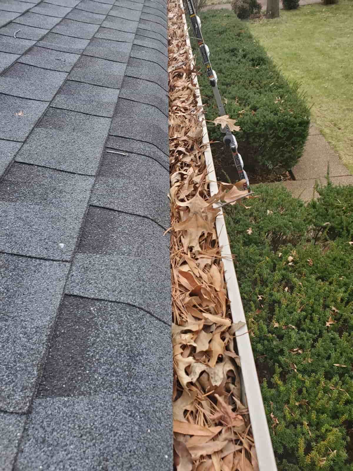 how to clean gutters with ladder