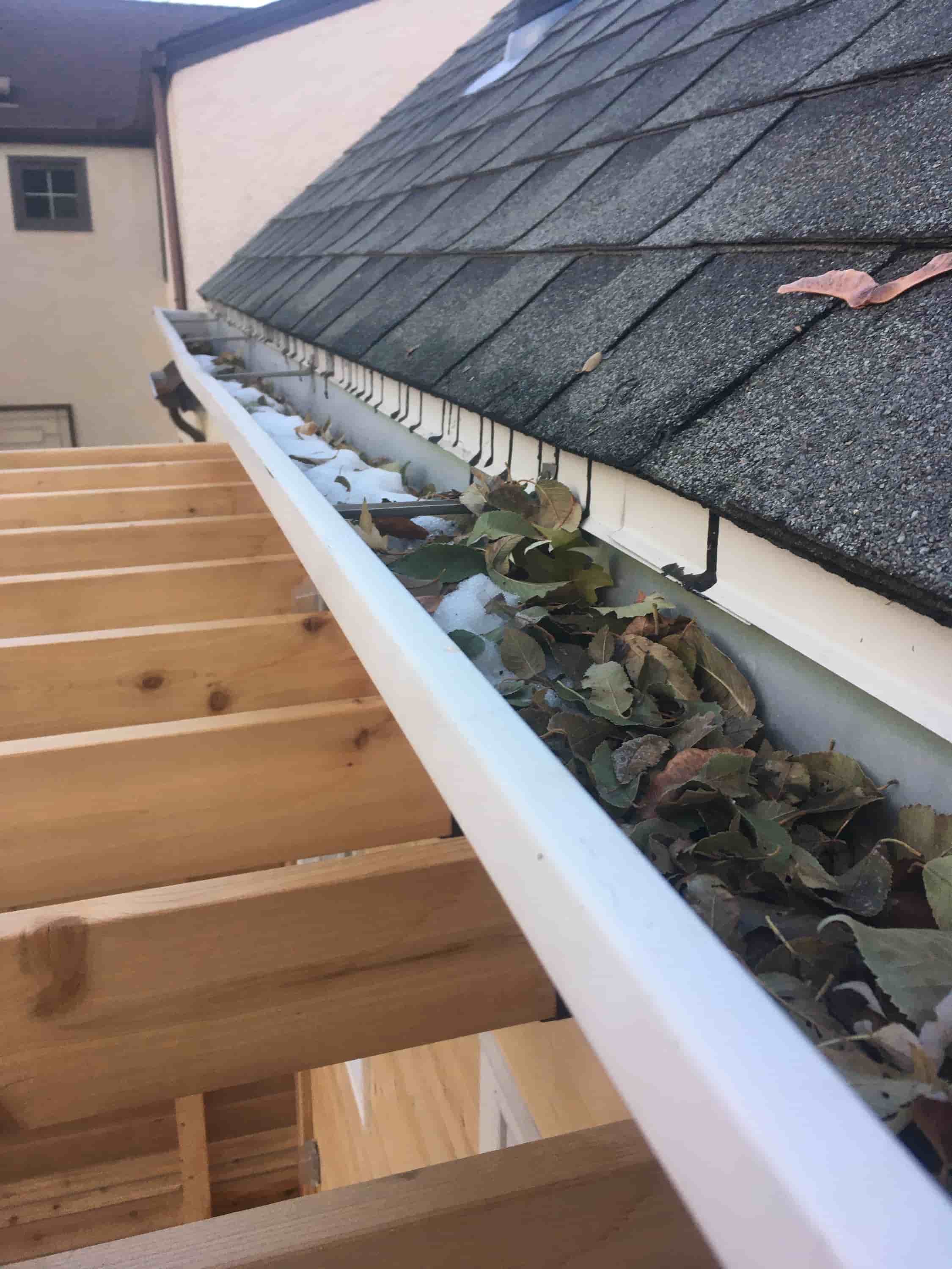 clean leaves from gutter