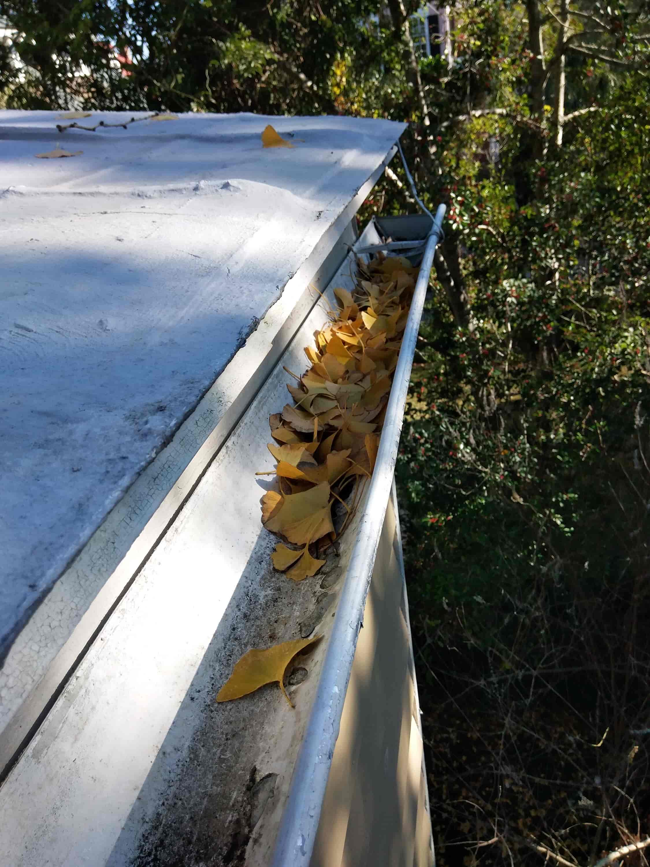gutter roof cleaning