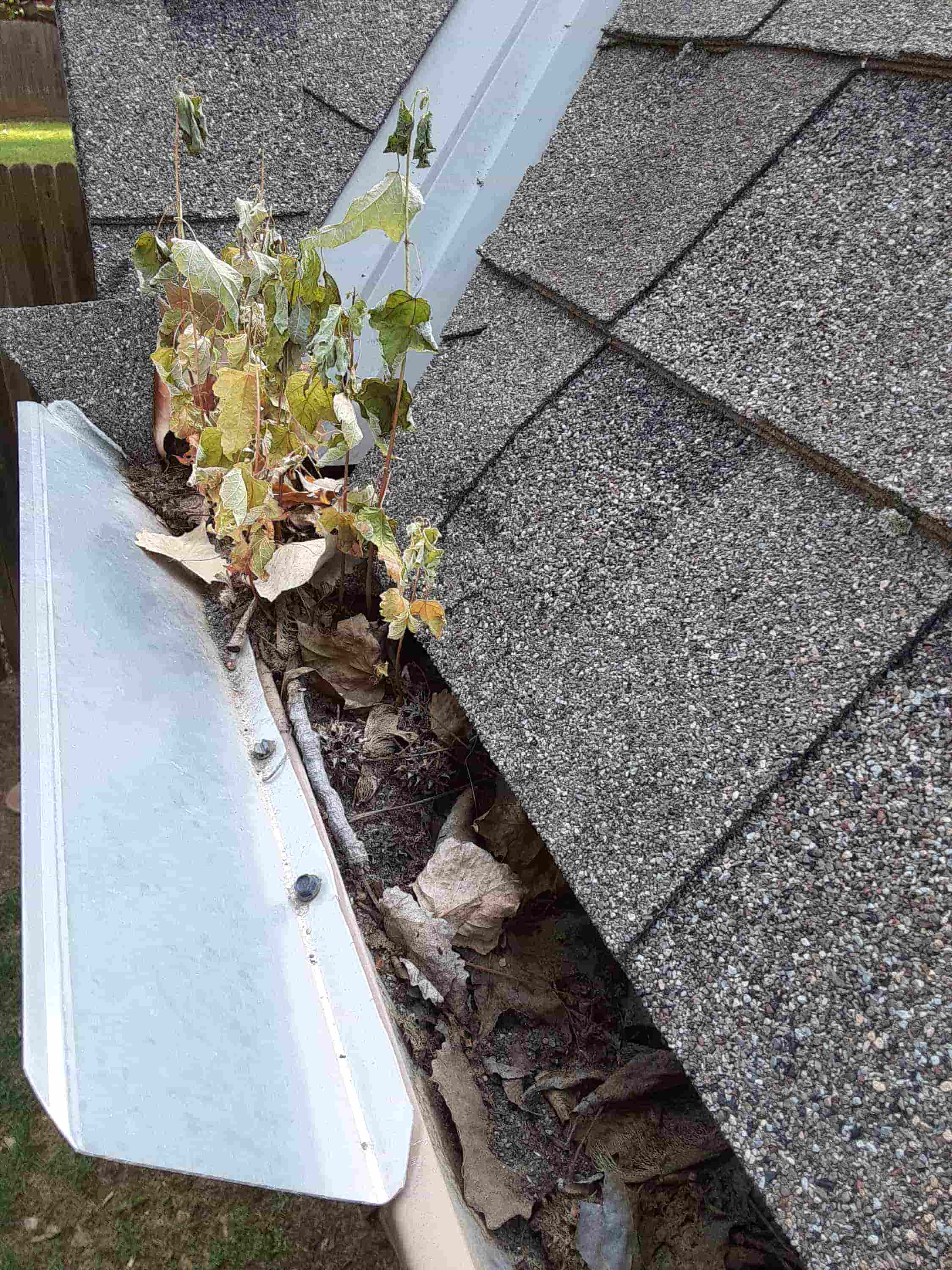 clean gutter with leaf blower