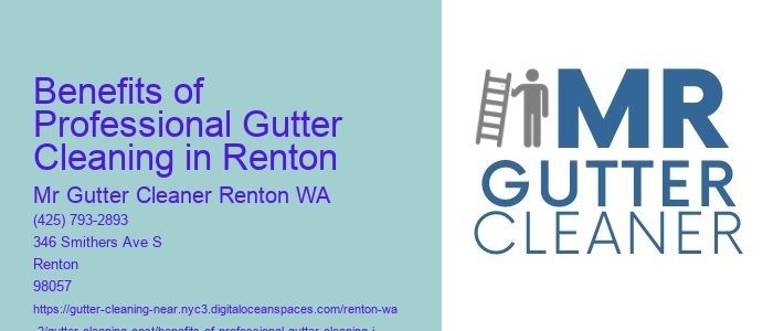 Benefits of Professional Gutter Cleaning in Renton 