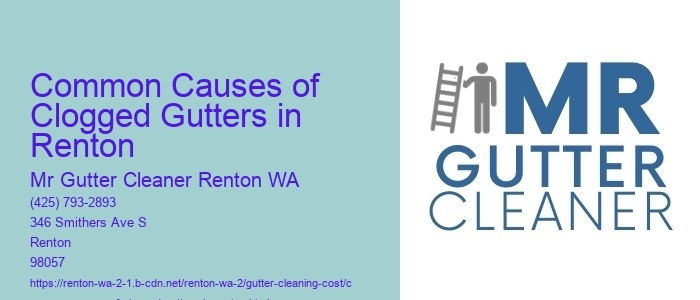 Common Causes of Clogged Gutters in Renton 