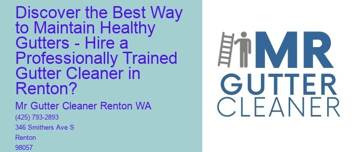 Discover the Best Way to Maintain Healthy Gutters - Hire a Professionally Trained Gutter Cleaner in Renton?