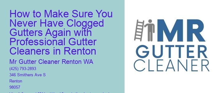 How to Make Sure You Never Have Clogged Gutters Again with Professional Gutter Cleaners in Renton  