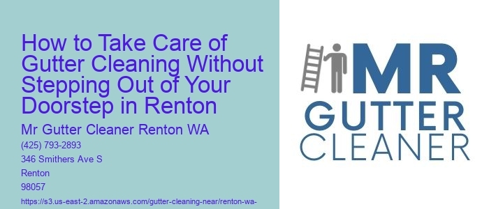 How to Take Care of Gutter Cleaning Without Stepping Out of Your Doorstep in Renton 